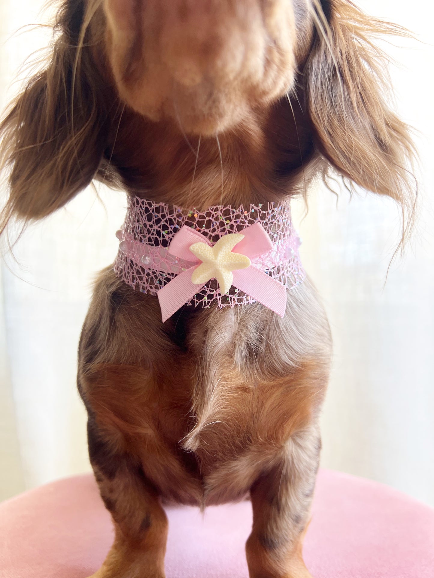 She’s a catch choker