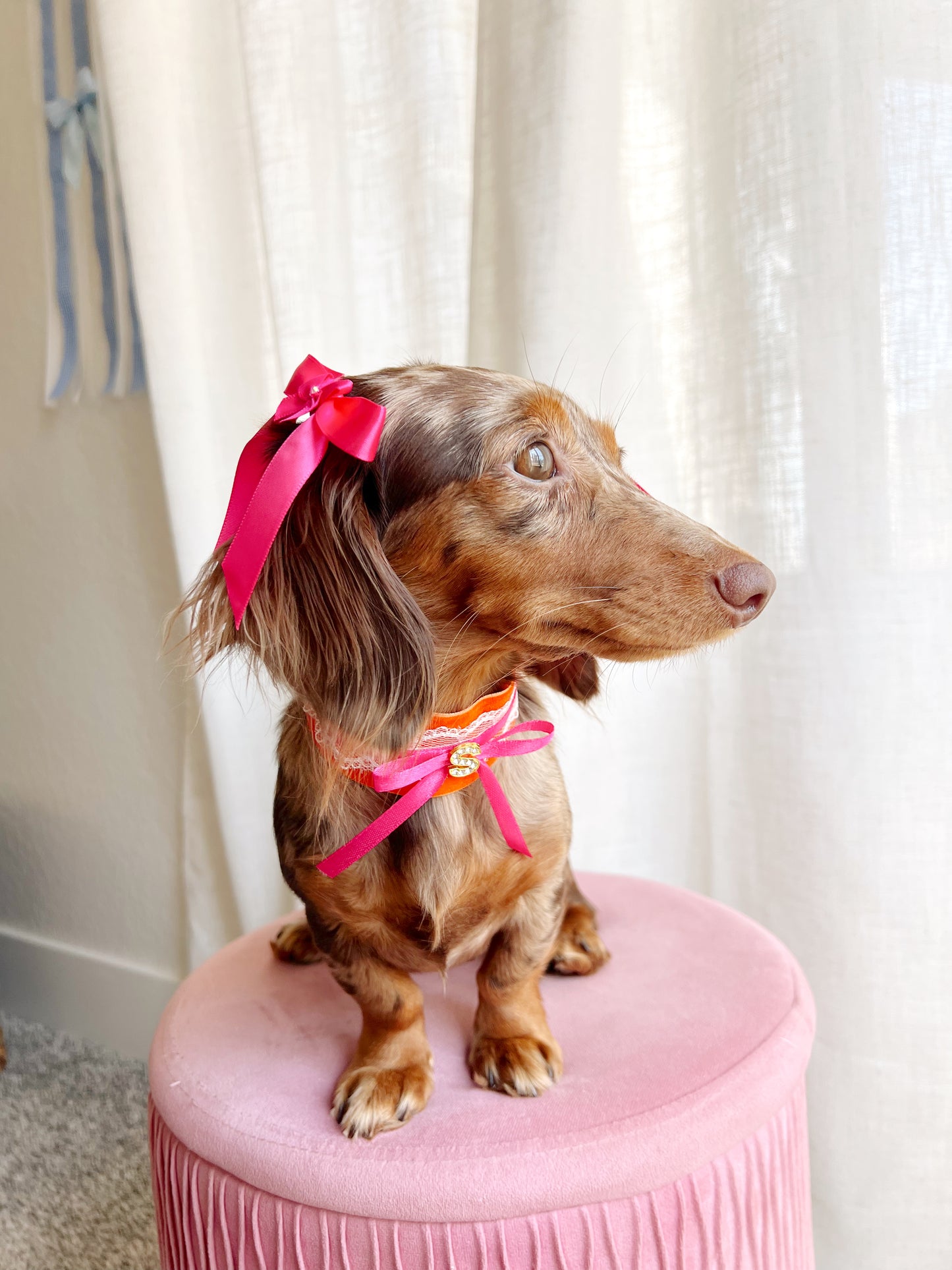 “The it girl” twin bows