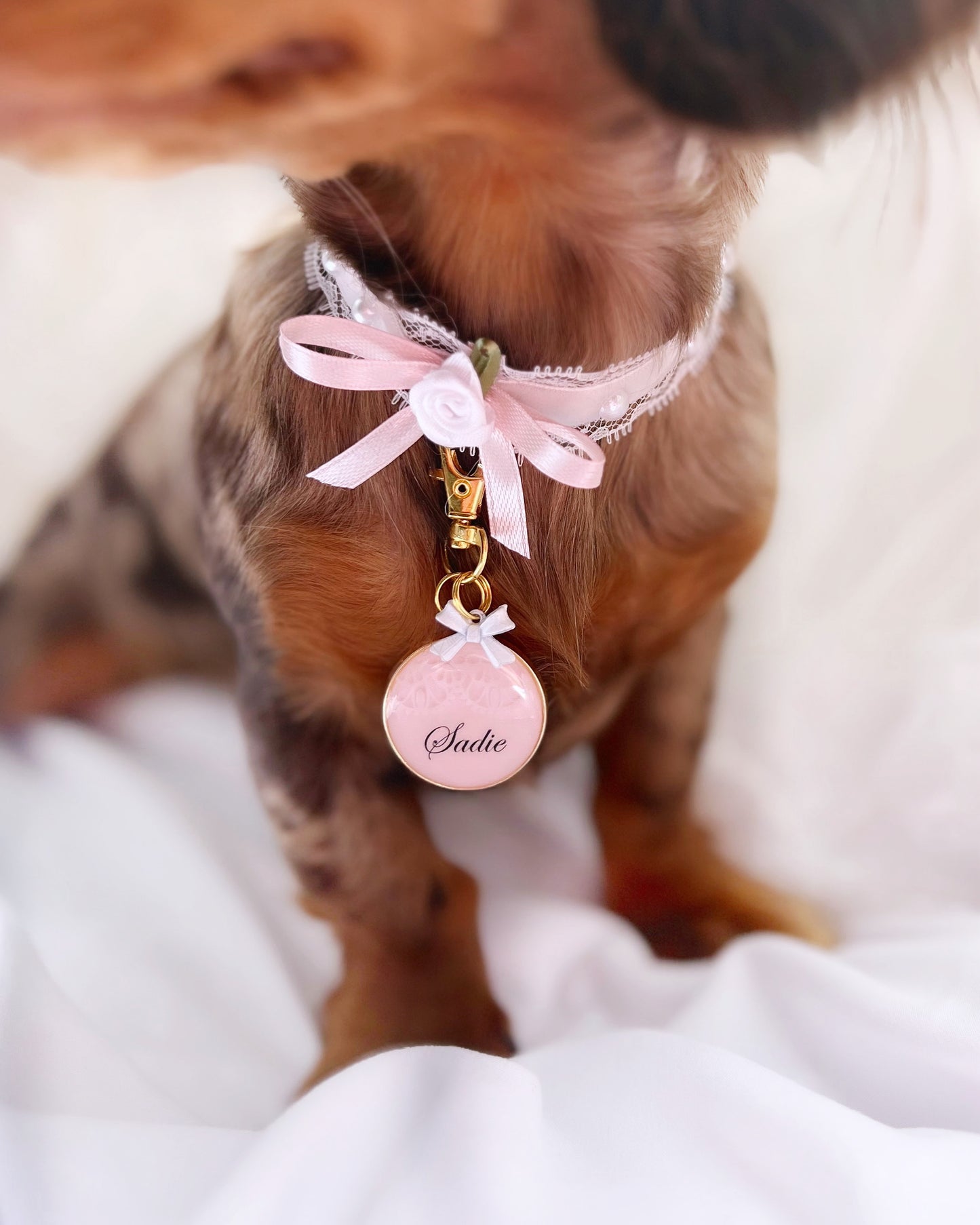 (RuffGems Collab) The Royal Petal Choker