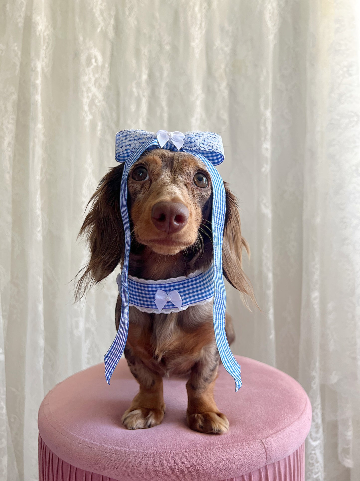 The Blueberry Pie Choker