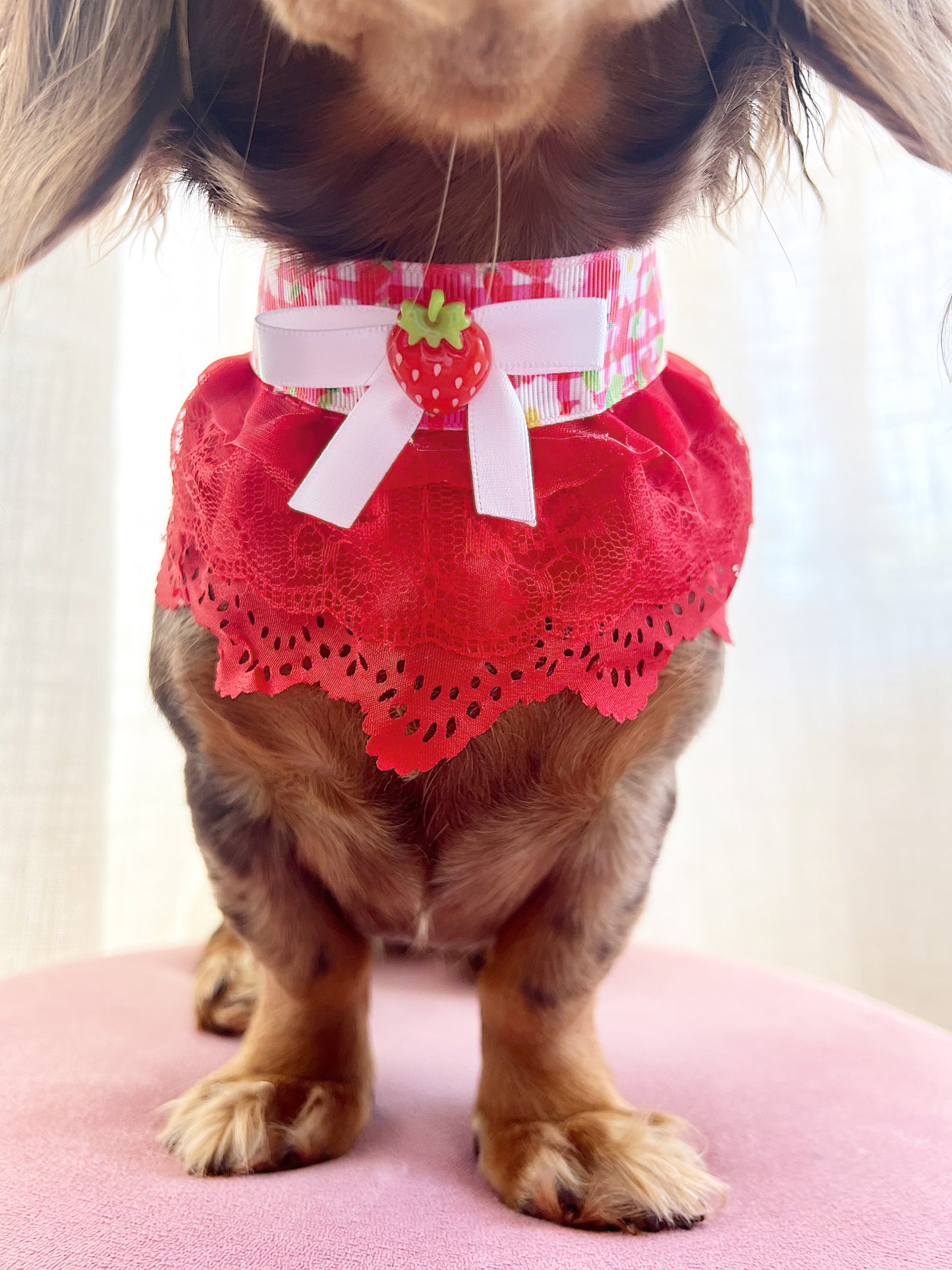 The strawberry fields choker
