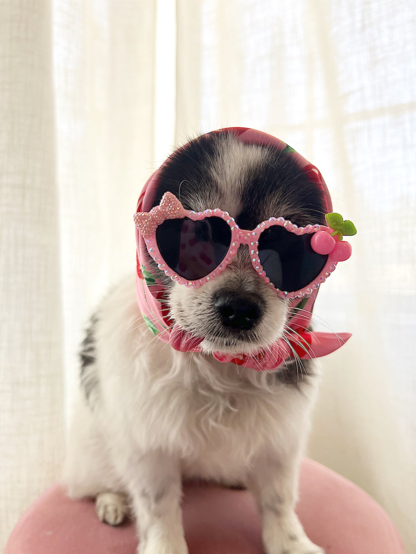 The pink cherry sugar sunglasses