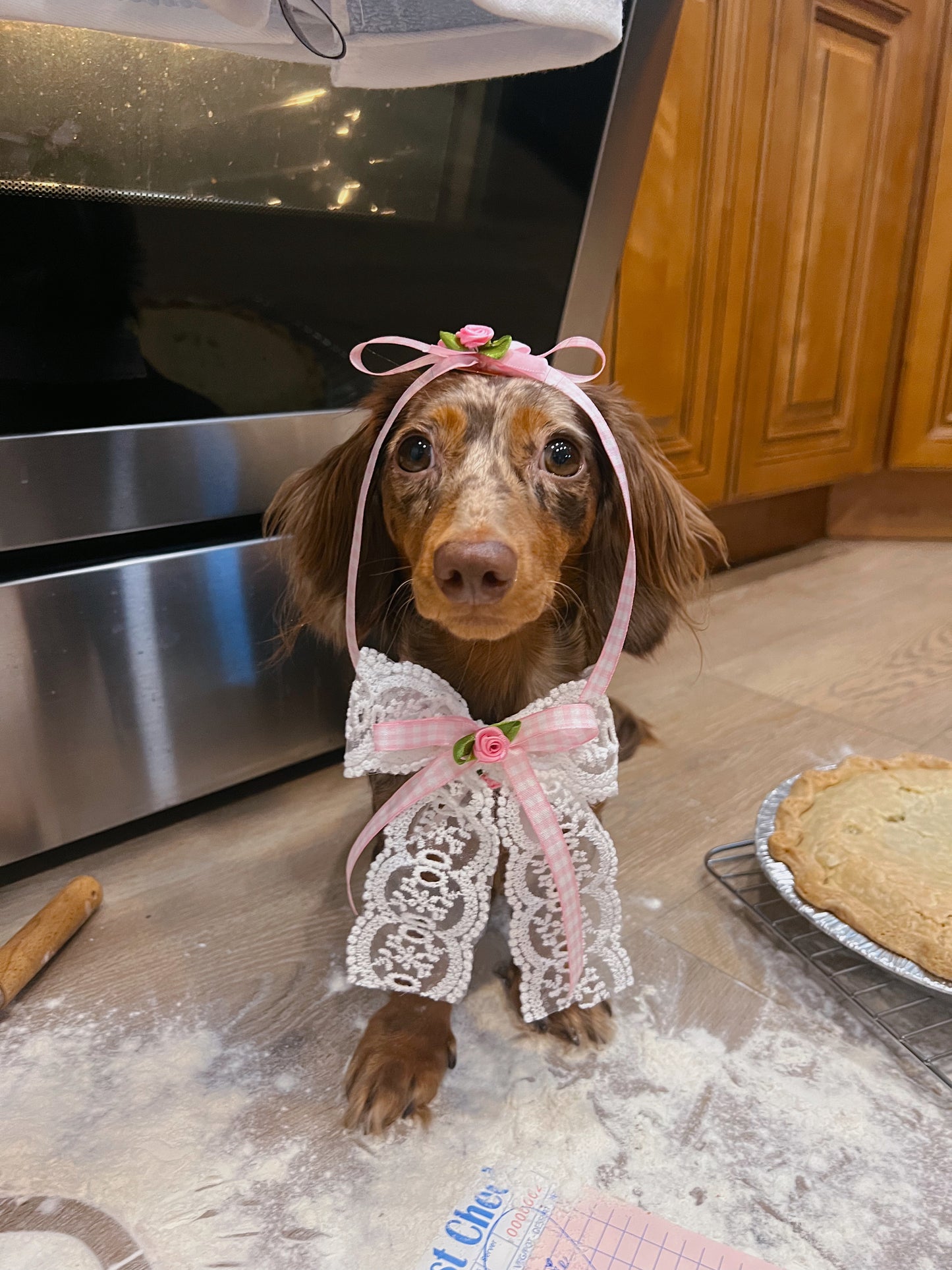 The blush bakery bow