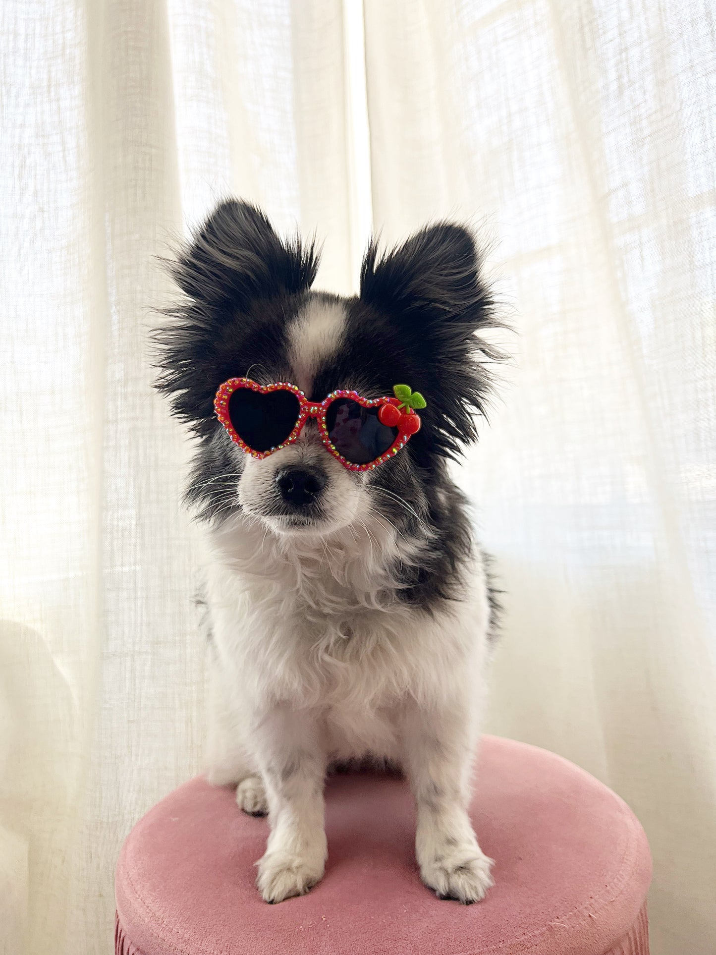 The red cherry sugar sunglasses