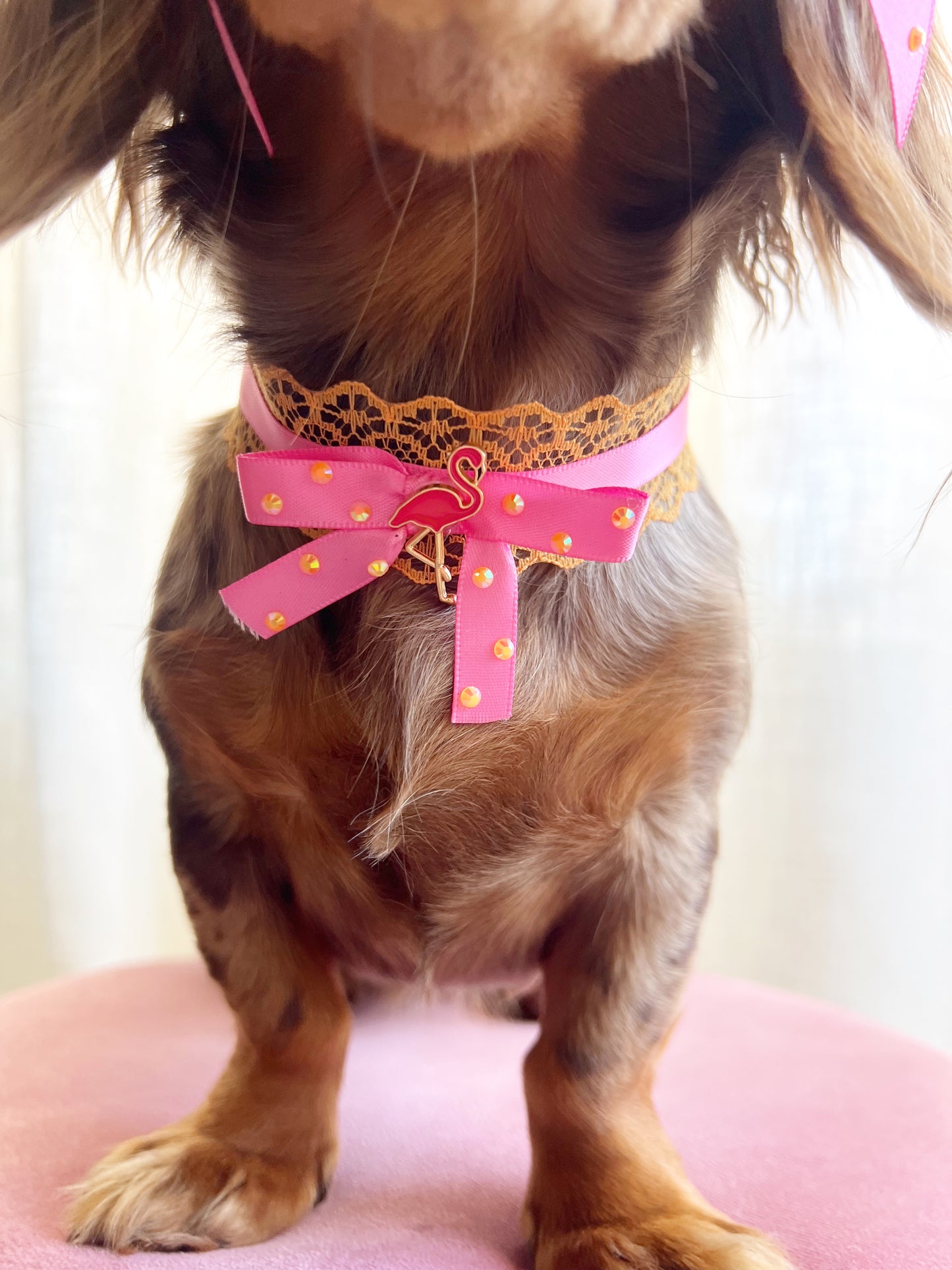 The tropic flamingo choker