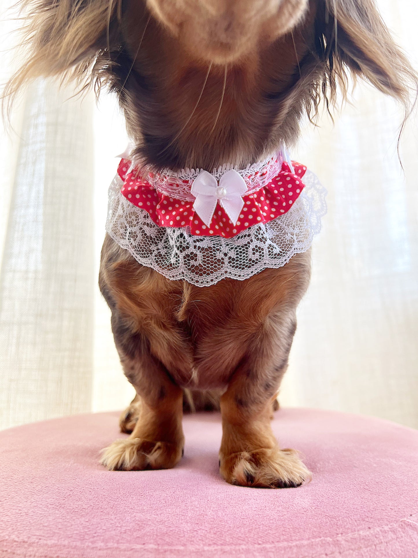 The Dottie choker