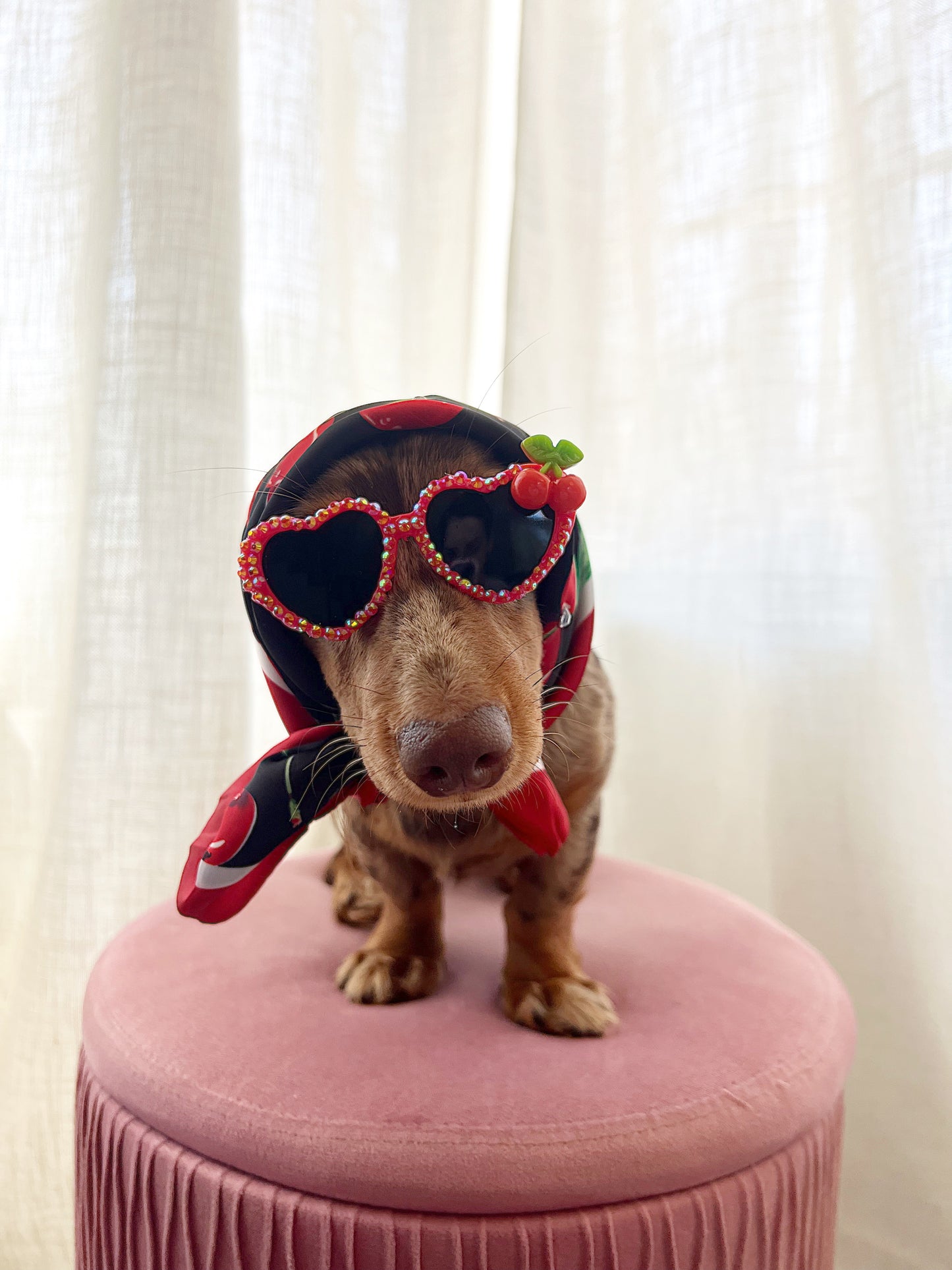 The red cherry sugar sunglasses