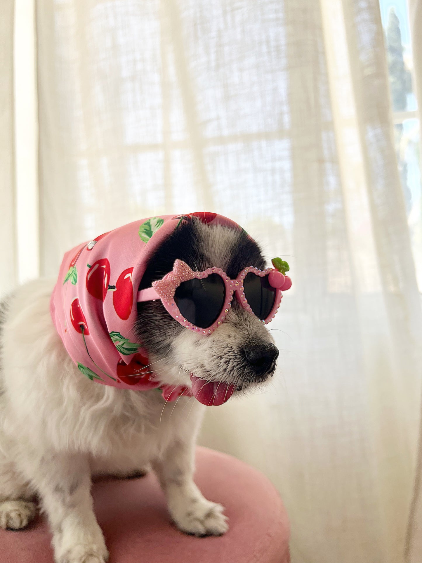 The pink cherry sugar sunglasses
