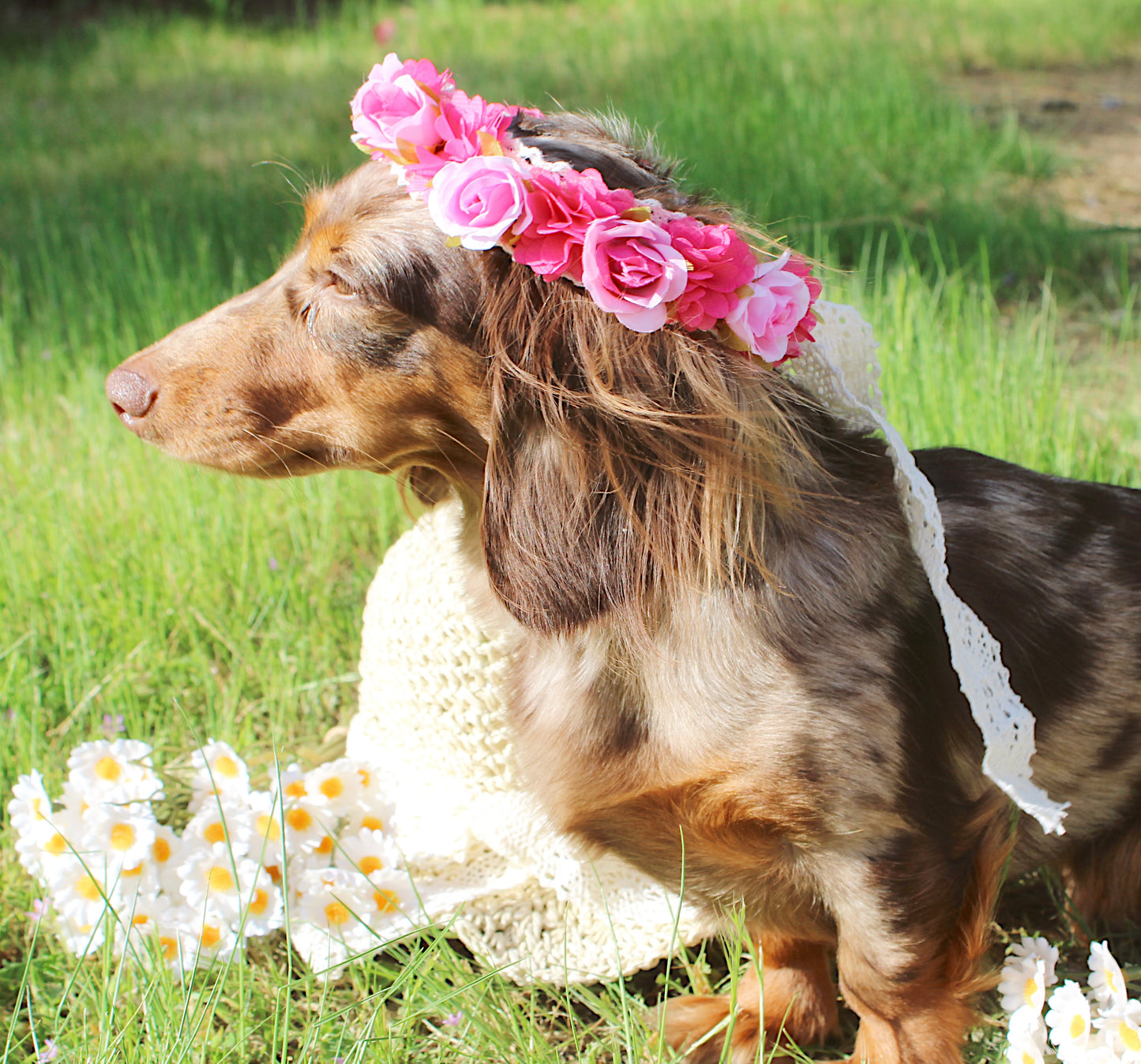 Wild child flower crown