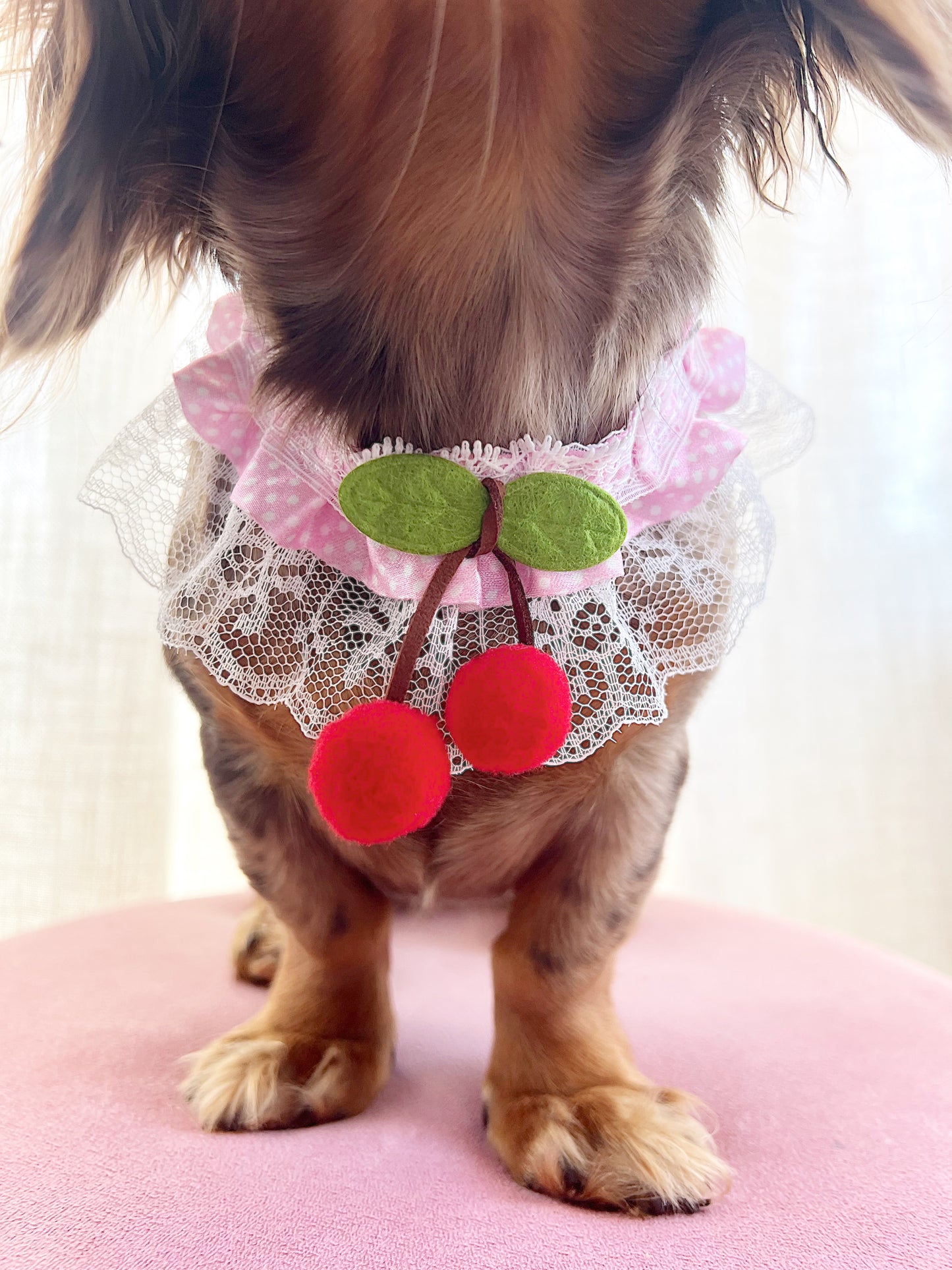 The Lottie hanging cherry choker