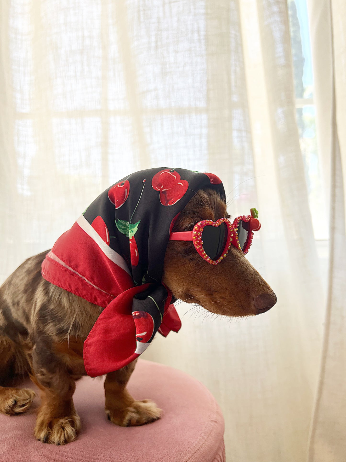 The red cherry sugar sunglasses