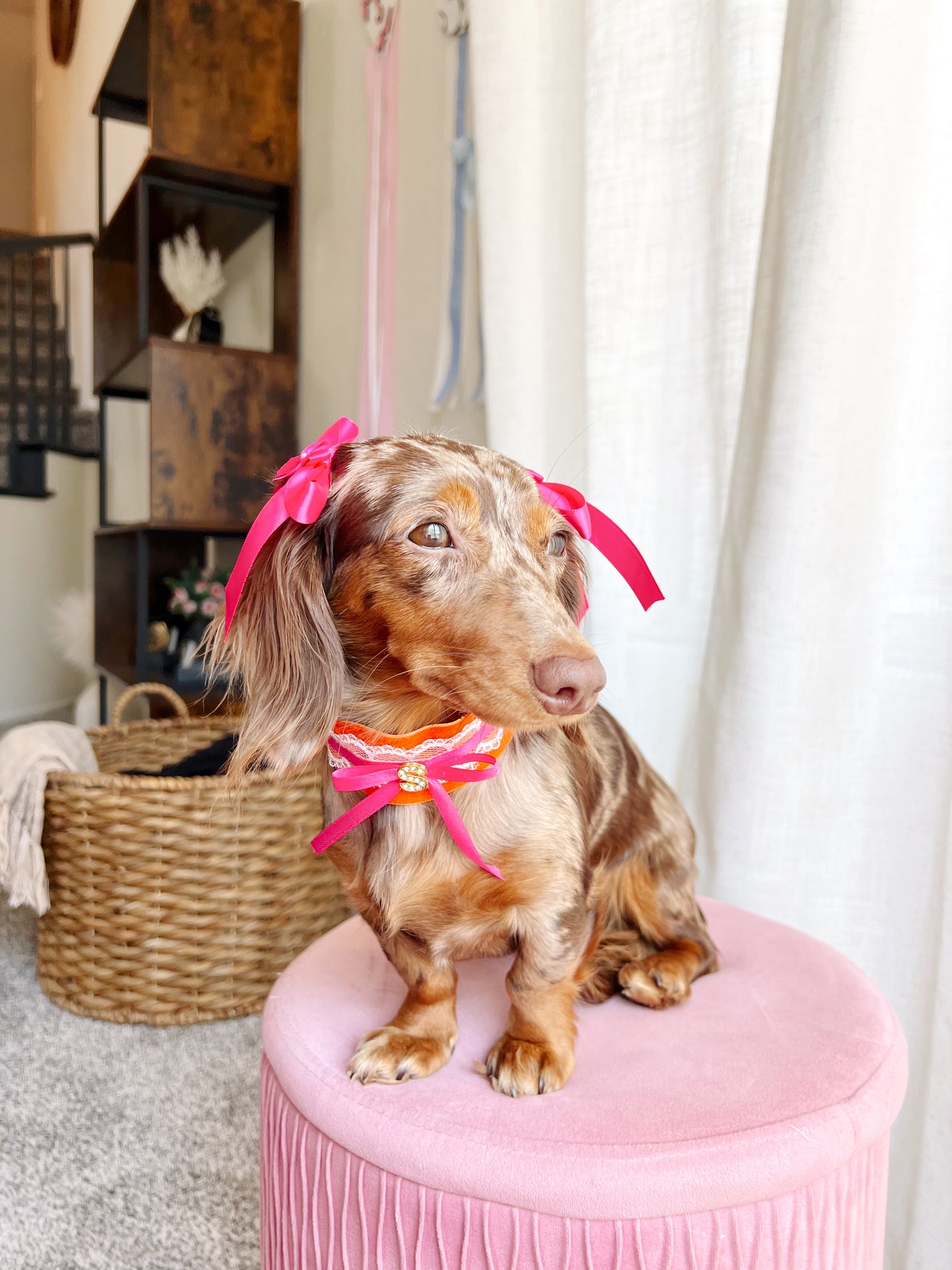 “The it girl” twin bows