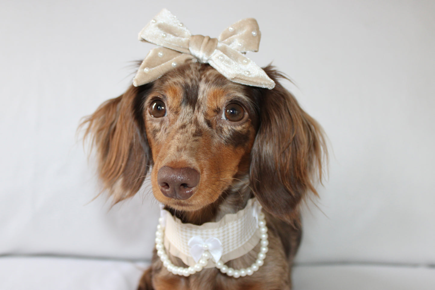 XOXO bow