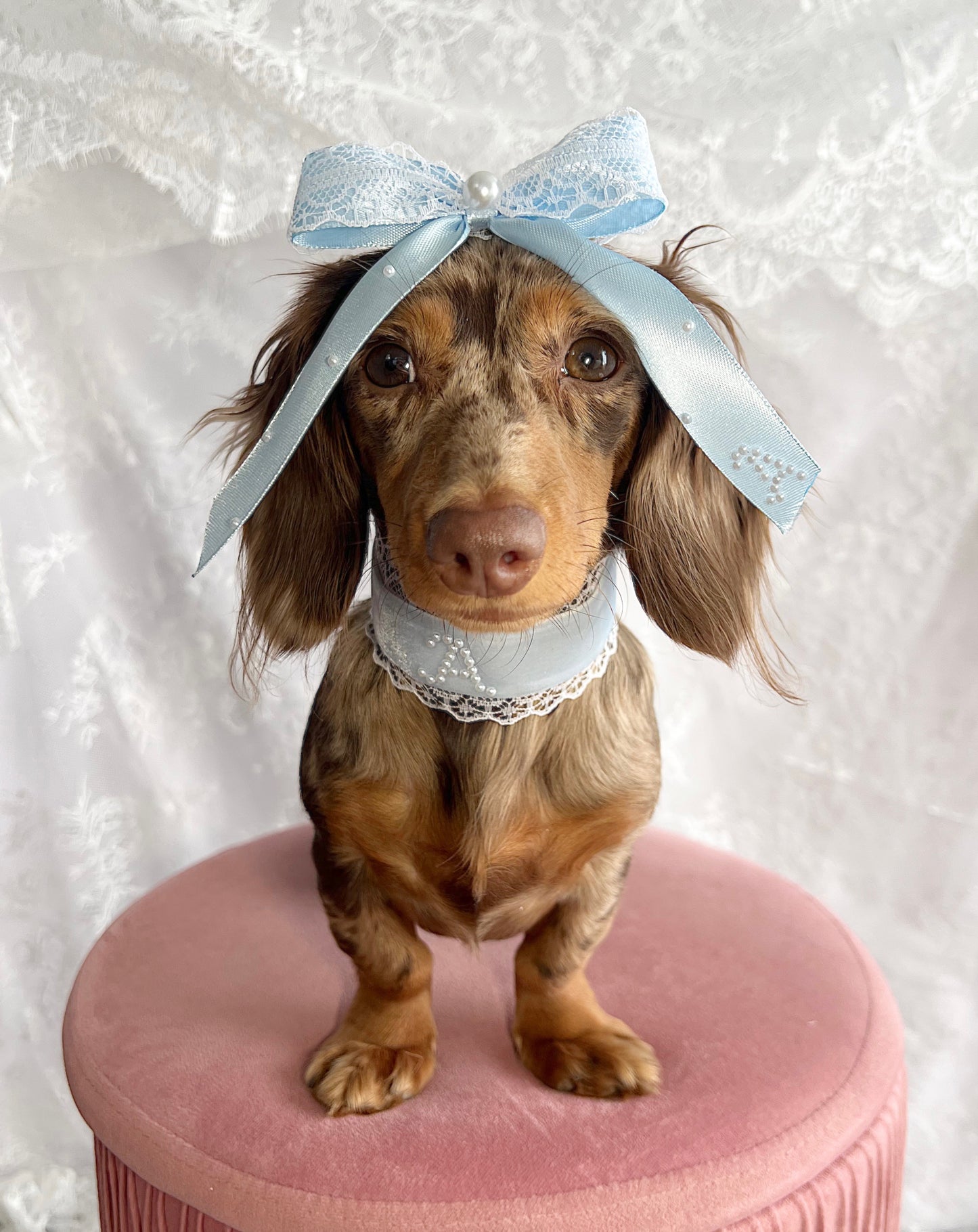 The Glass Slipper Initial Bow