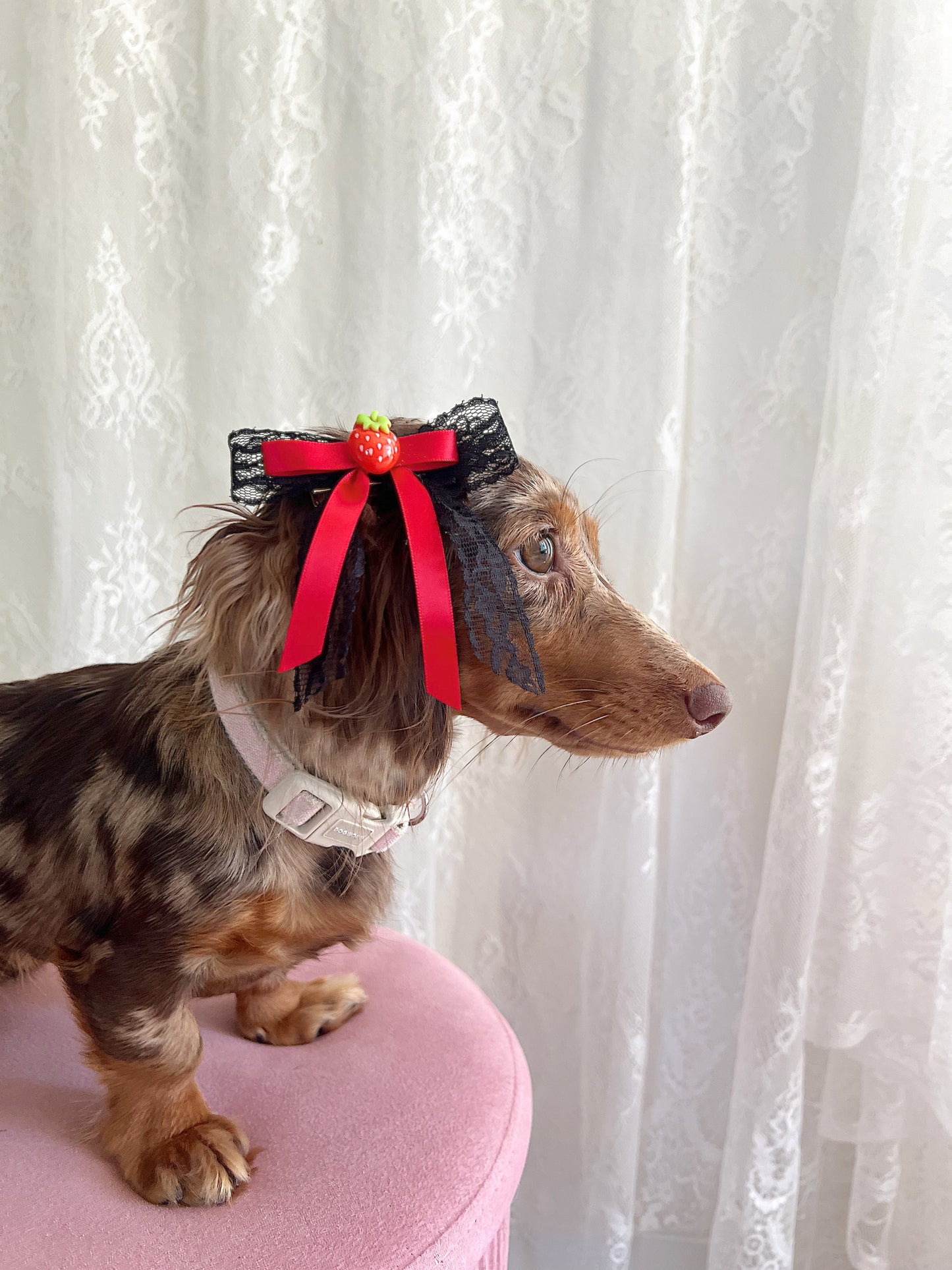 The Red Licorice Bow