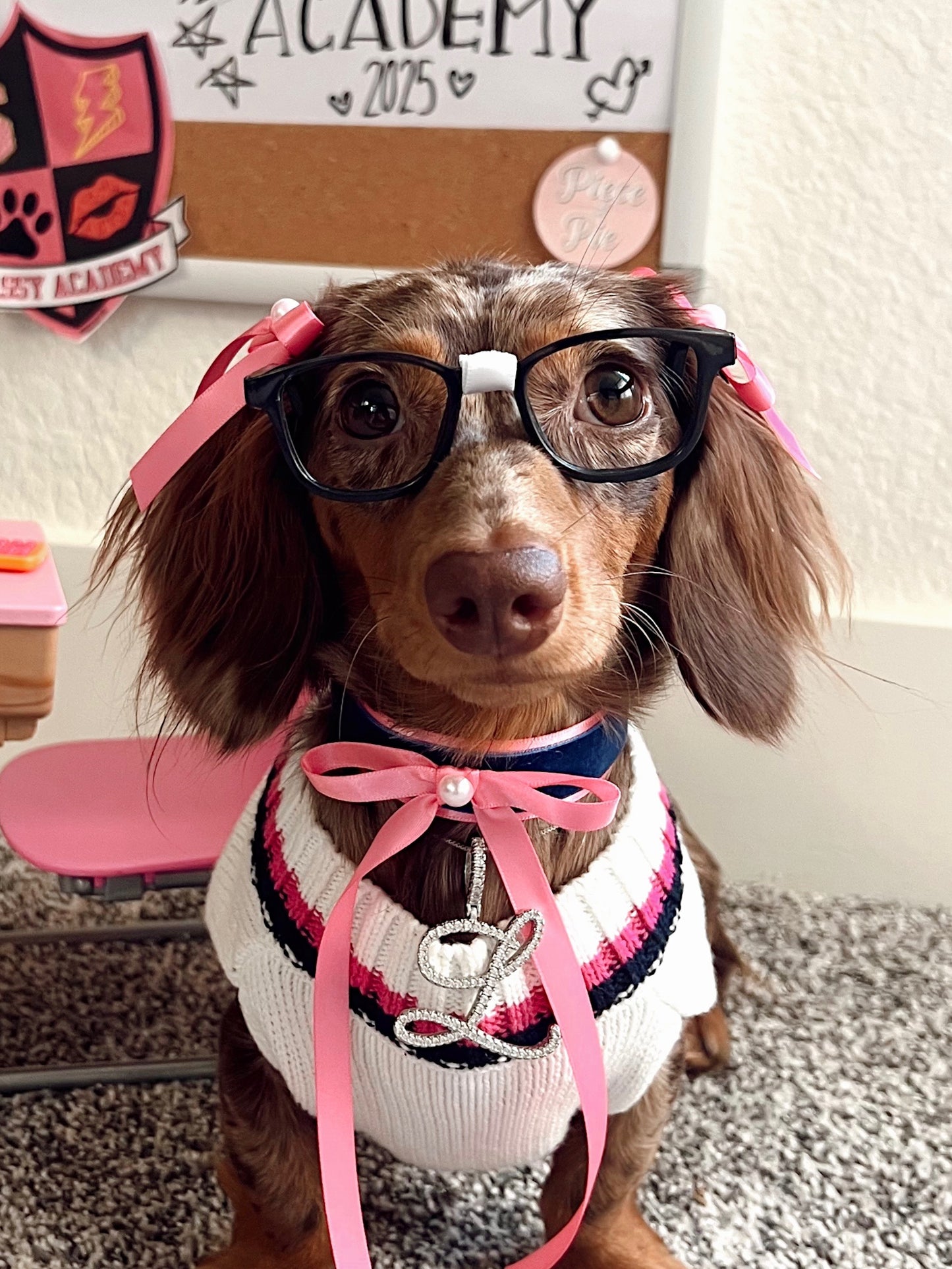 The Know-it-All Glasses