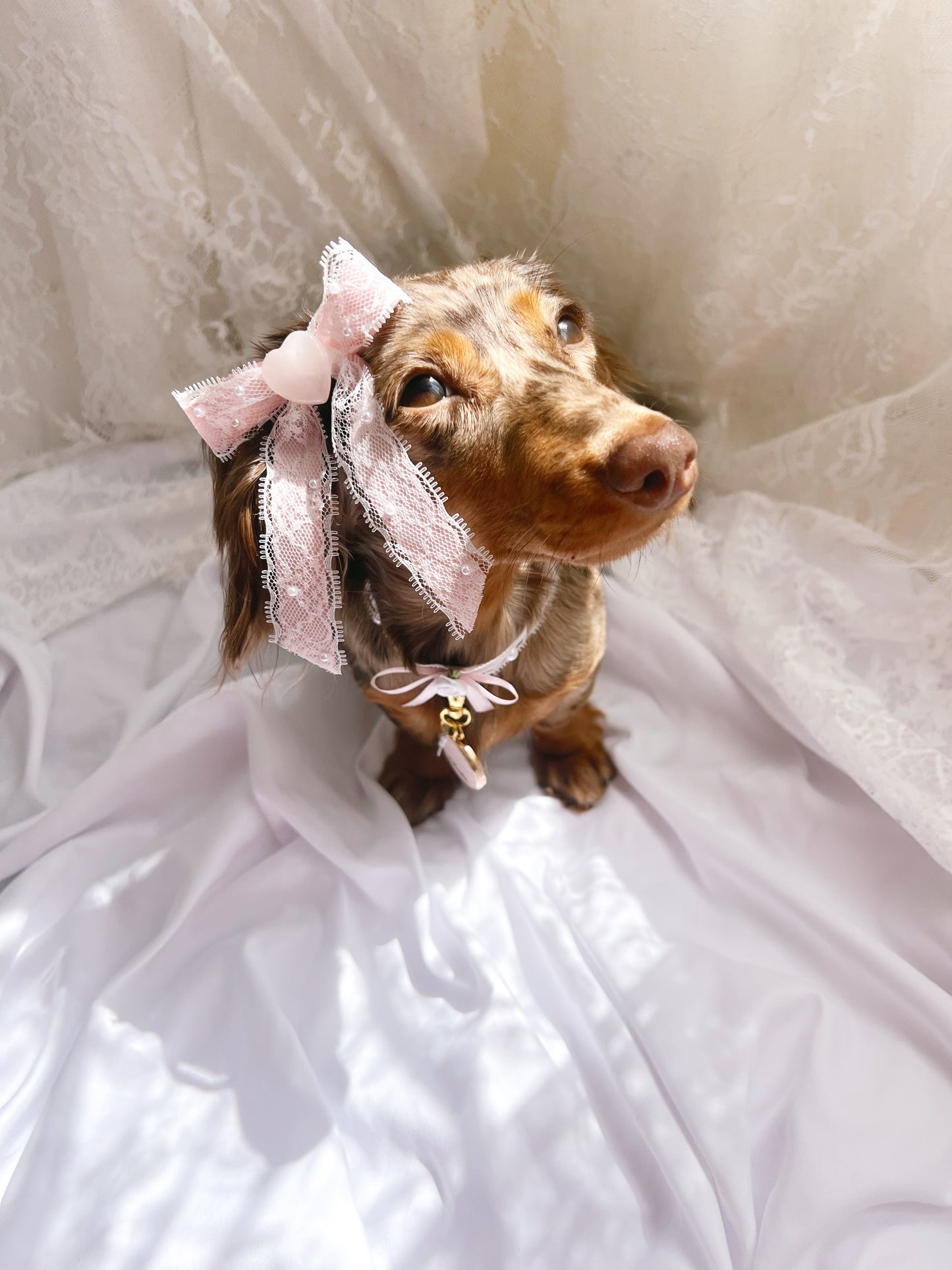 (RuffGems Collab) The Lacey Love Bow *re-stocked*