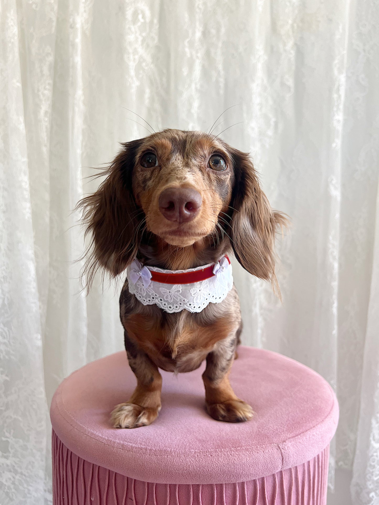 The Cherry Velvet Choker
