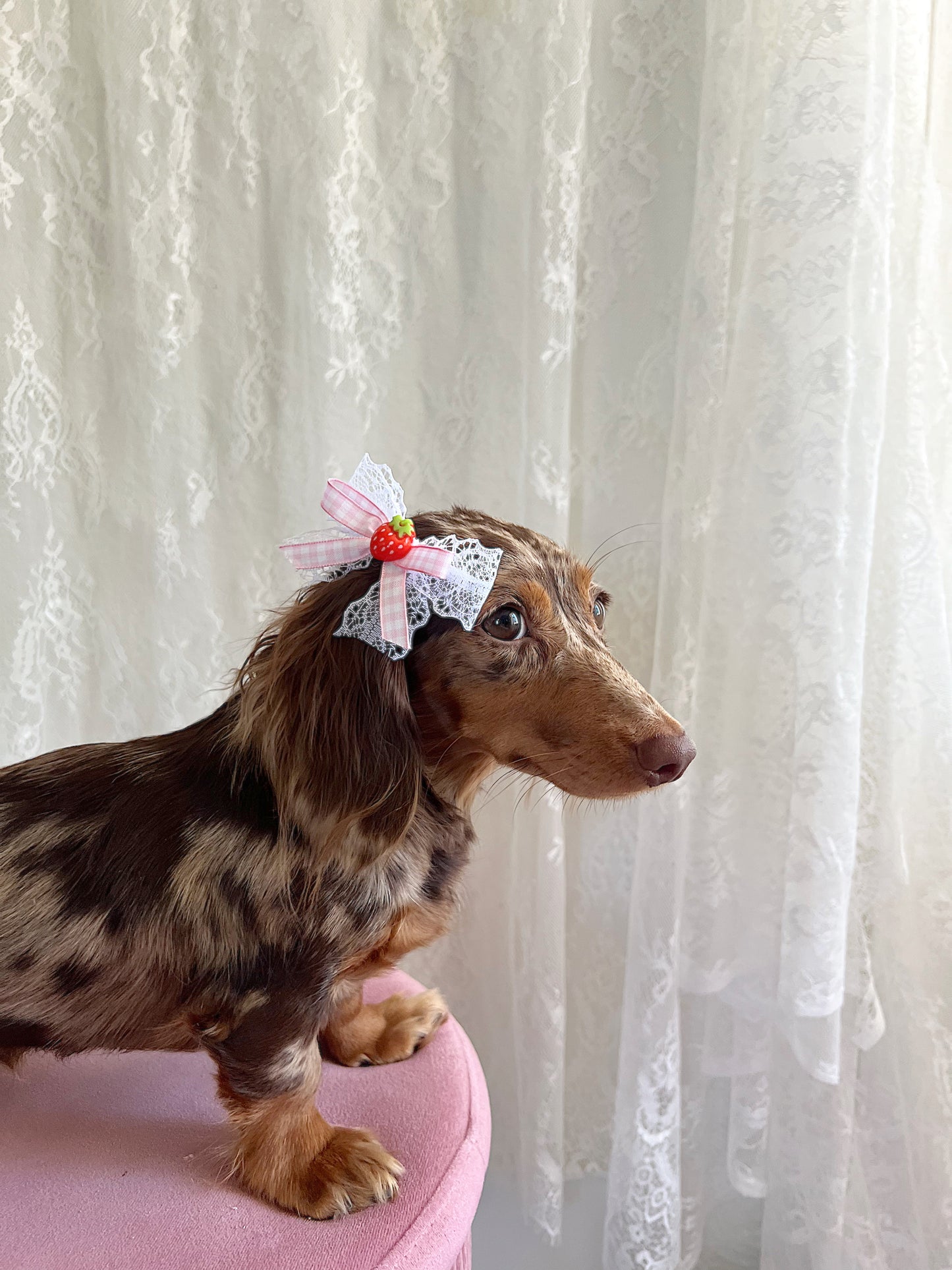 The Strawberry Sorbet Bow