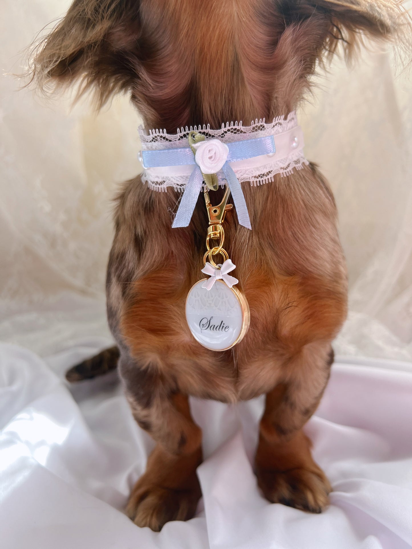 (RuffGems Collab)The Velvet Grace Choker
