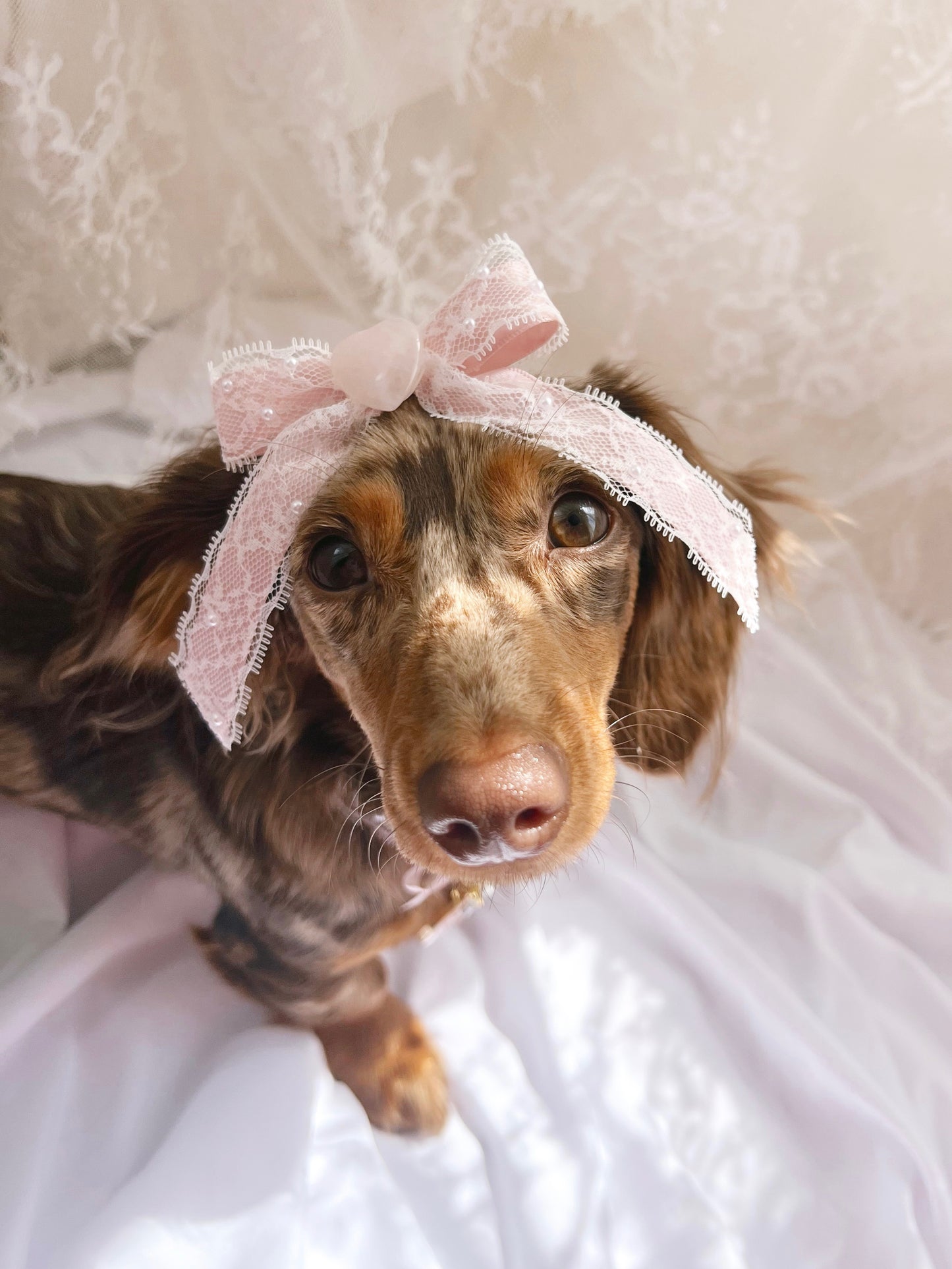 (RuffGems Collab) The Lacey Love Bow *re-stocked*