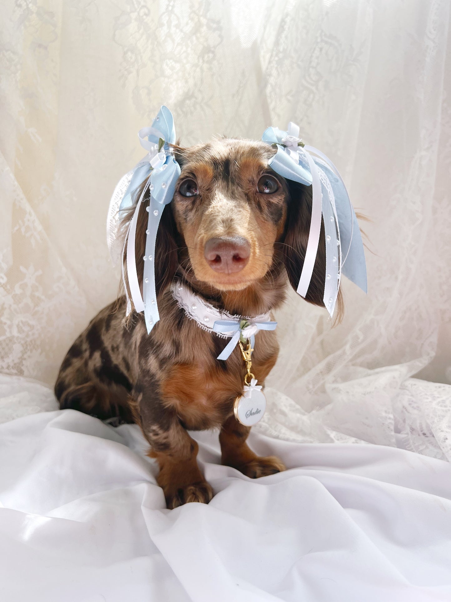 (RuffGems Collab) The Sapphire Silk Twin Bows