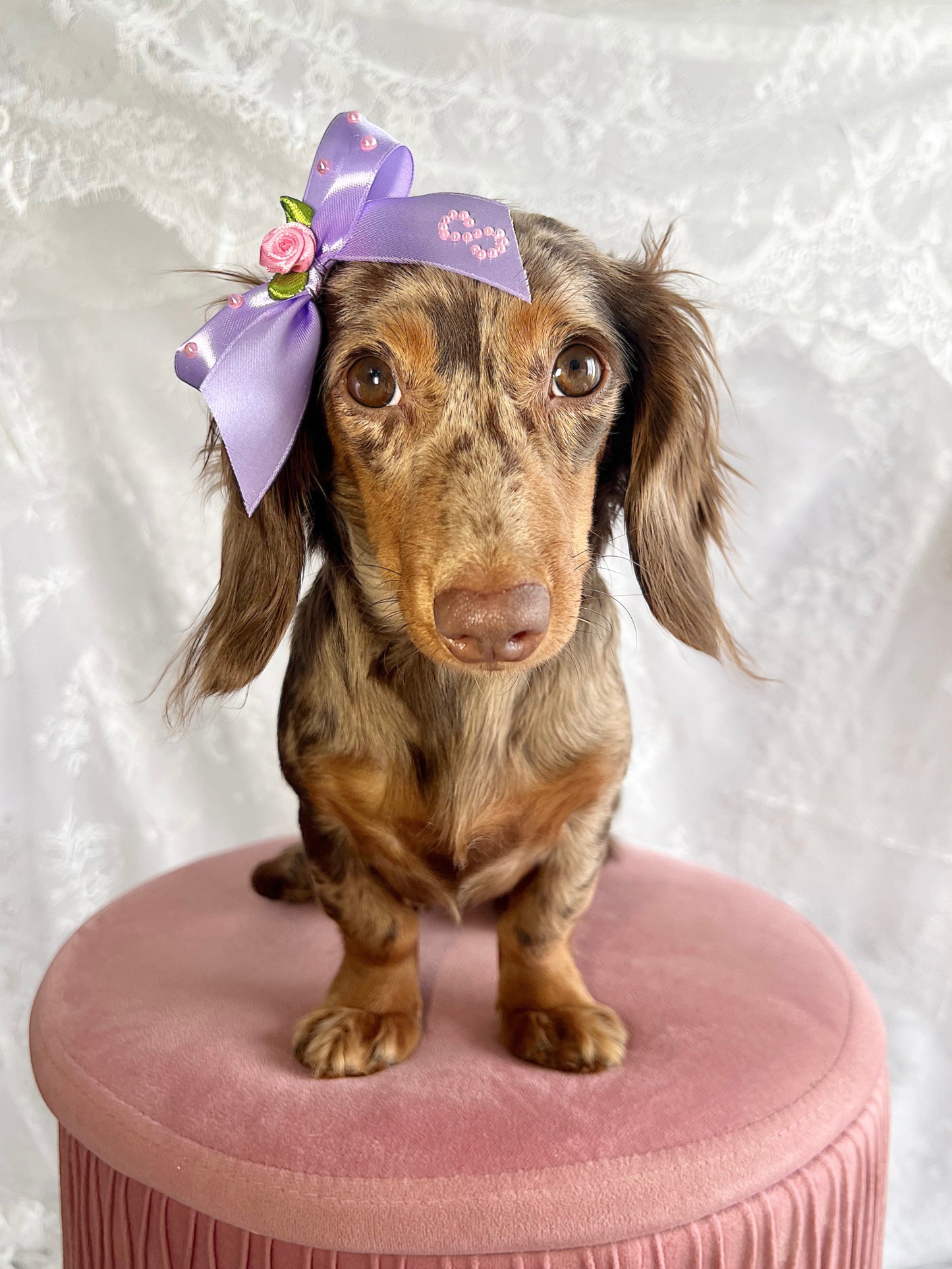 The Razzleberry Pie Initial Bow