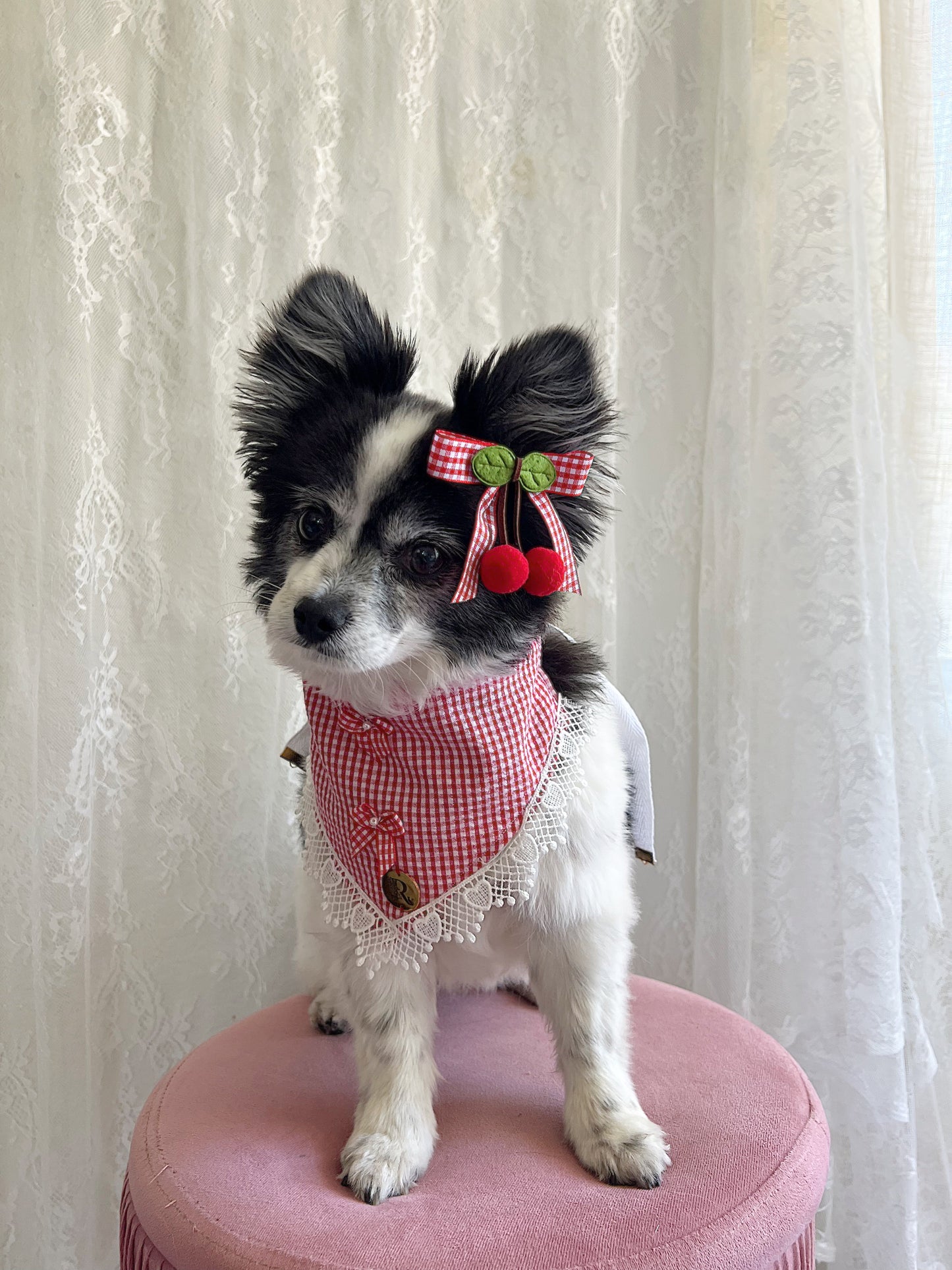 The Miss Americana Bow