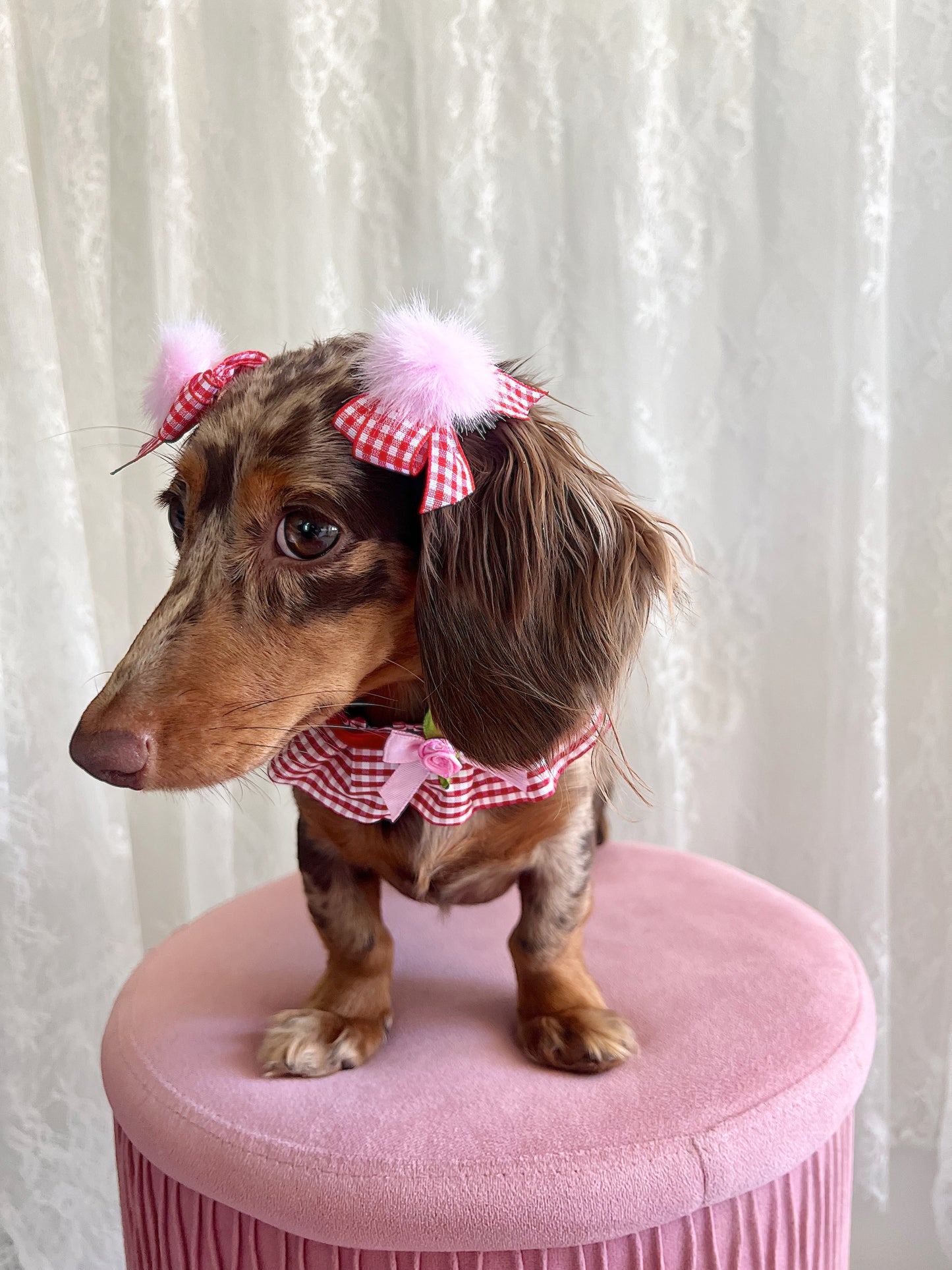 The Berry Bonbon Twin Bows