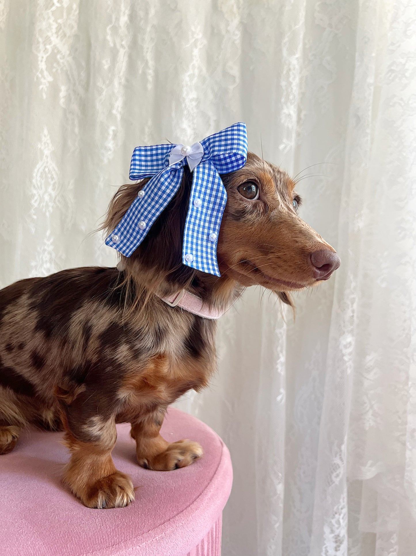 The Heartland Honey Bow