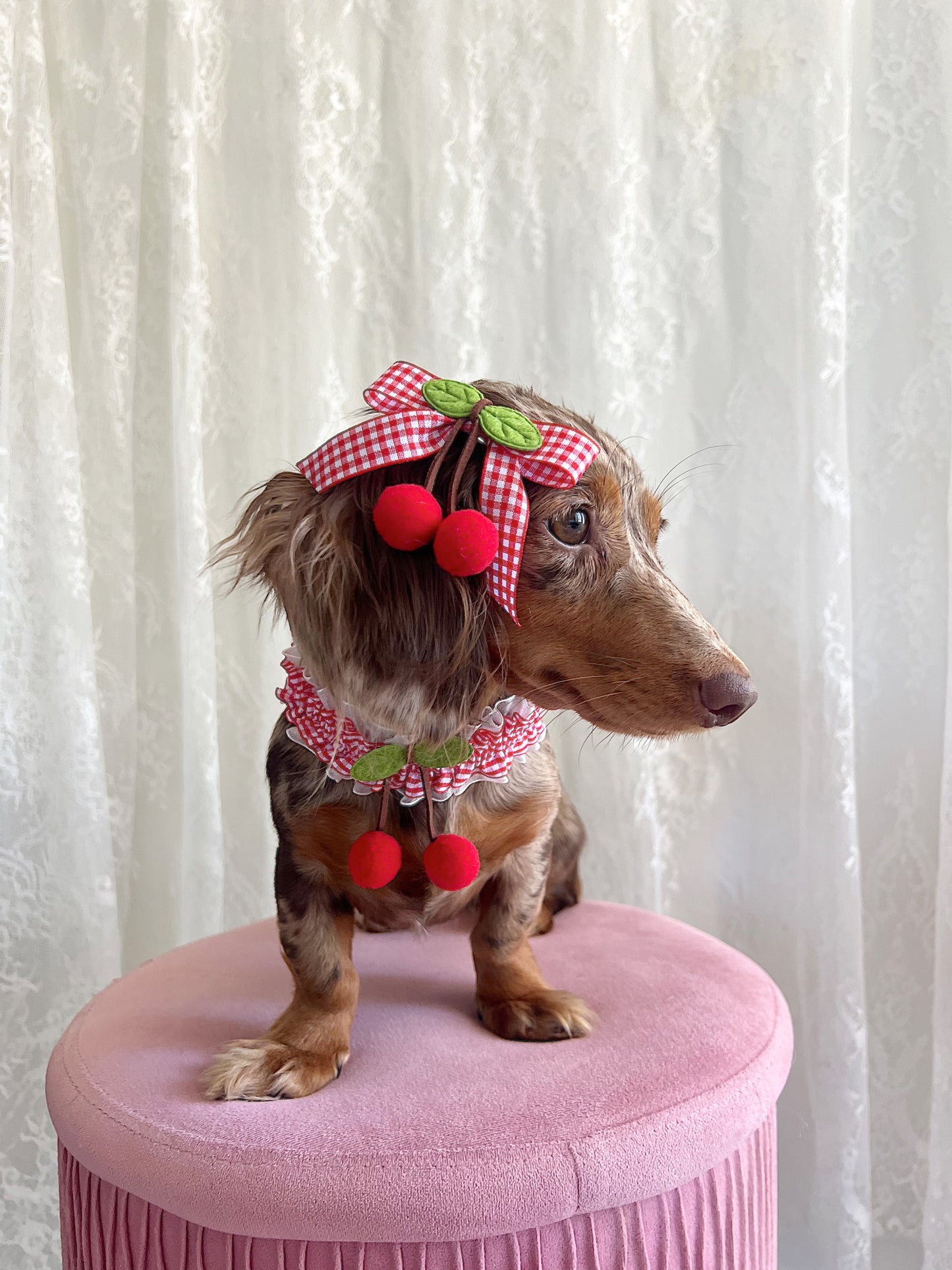 The Miss Americana Bow