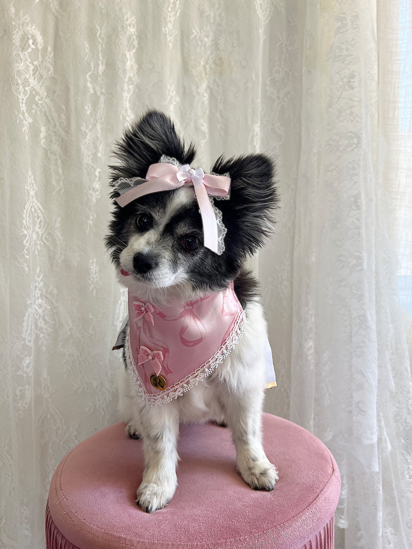 The Bubblegum Bow