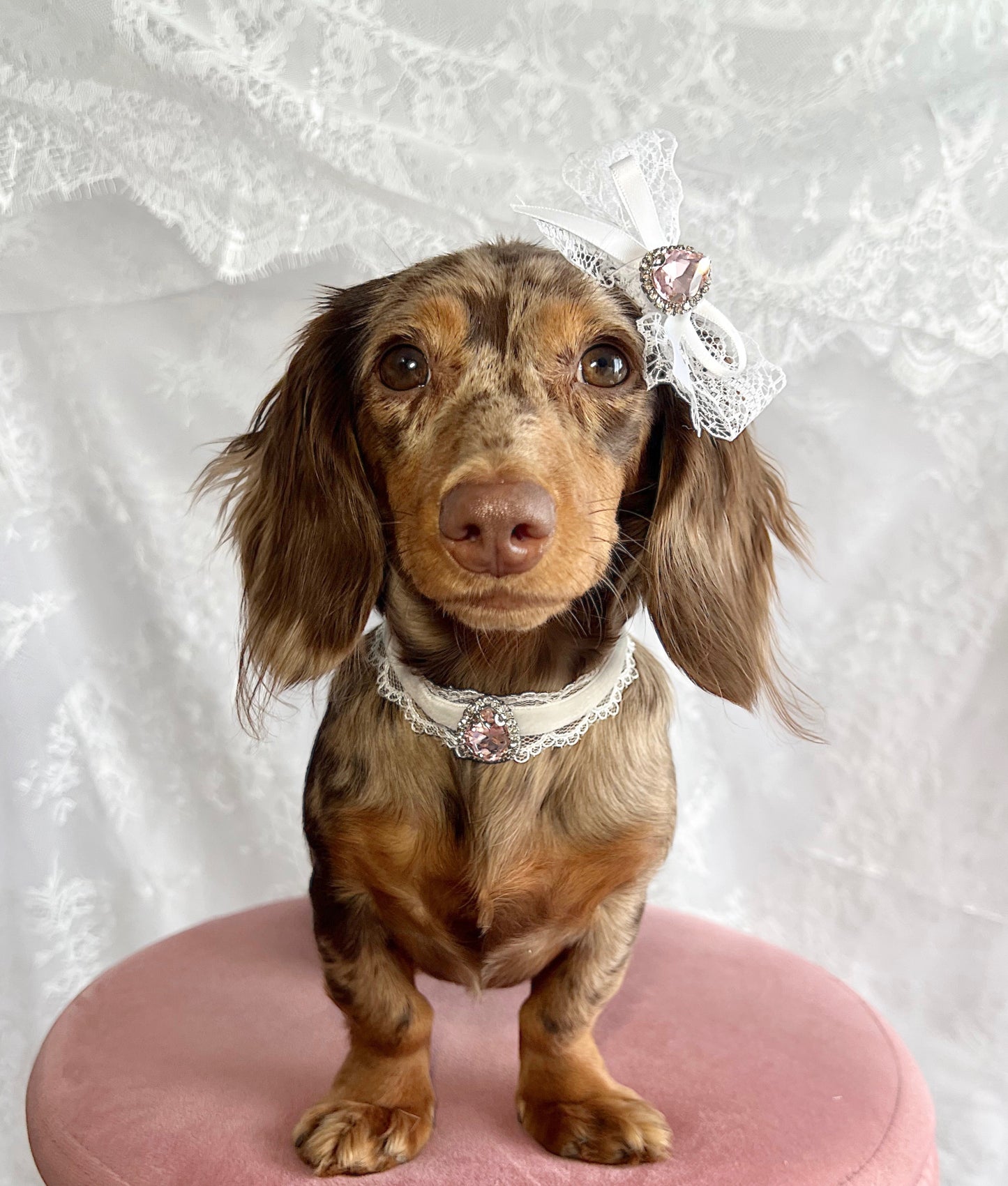The Fairytale Bow