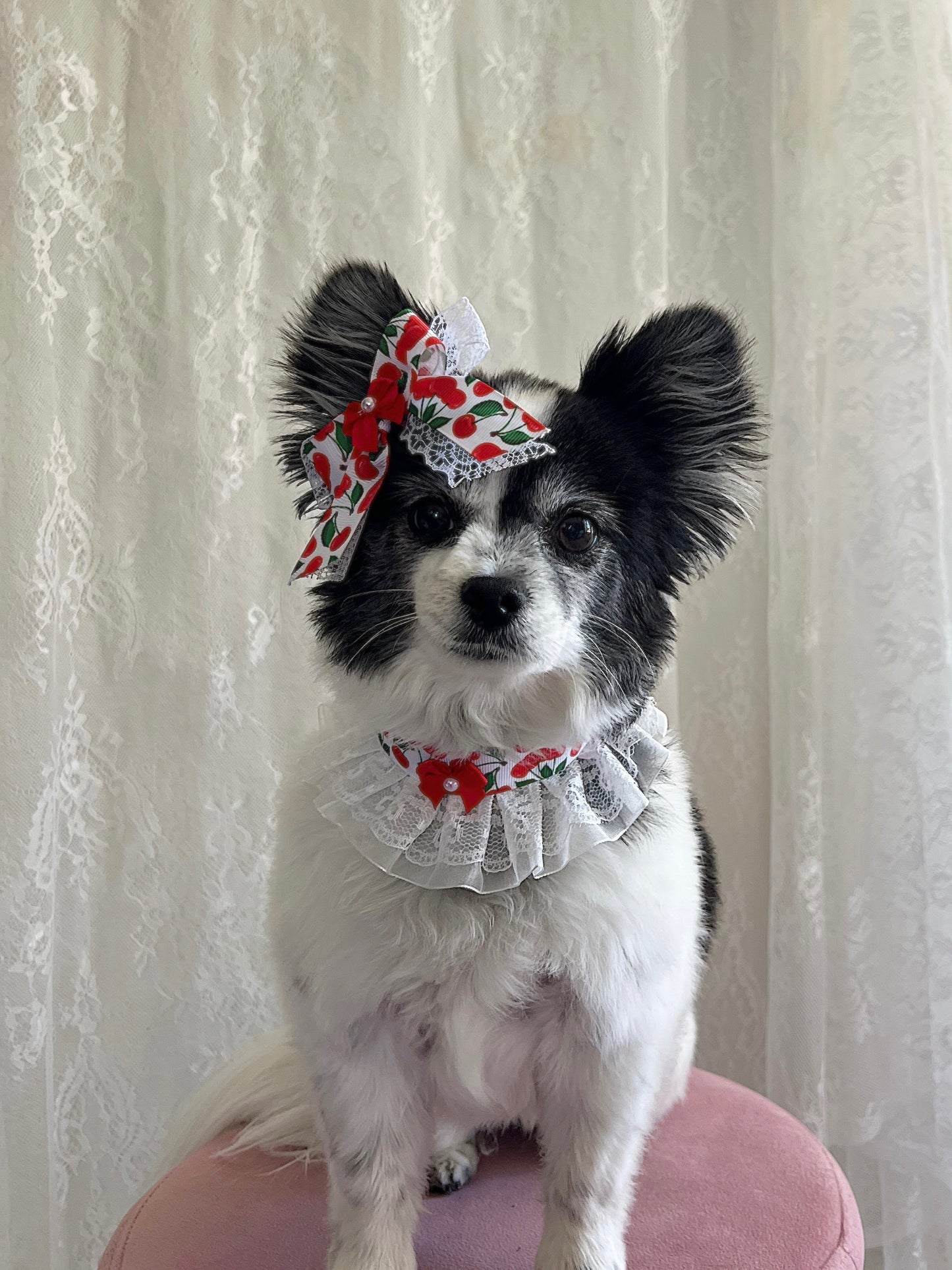 The Cherry Bombshell Bow