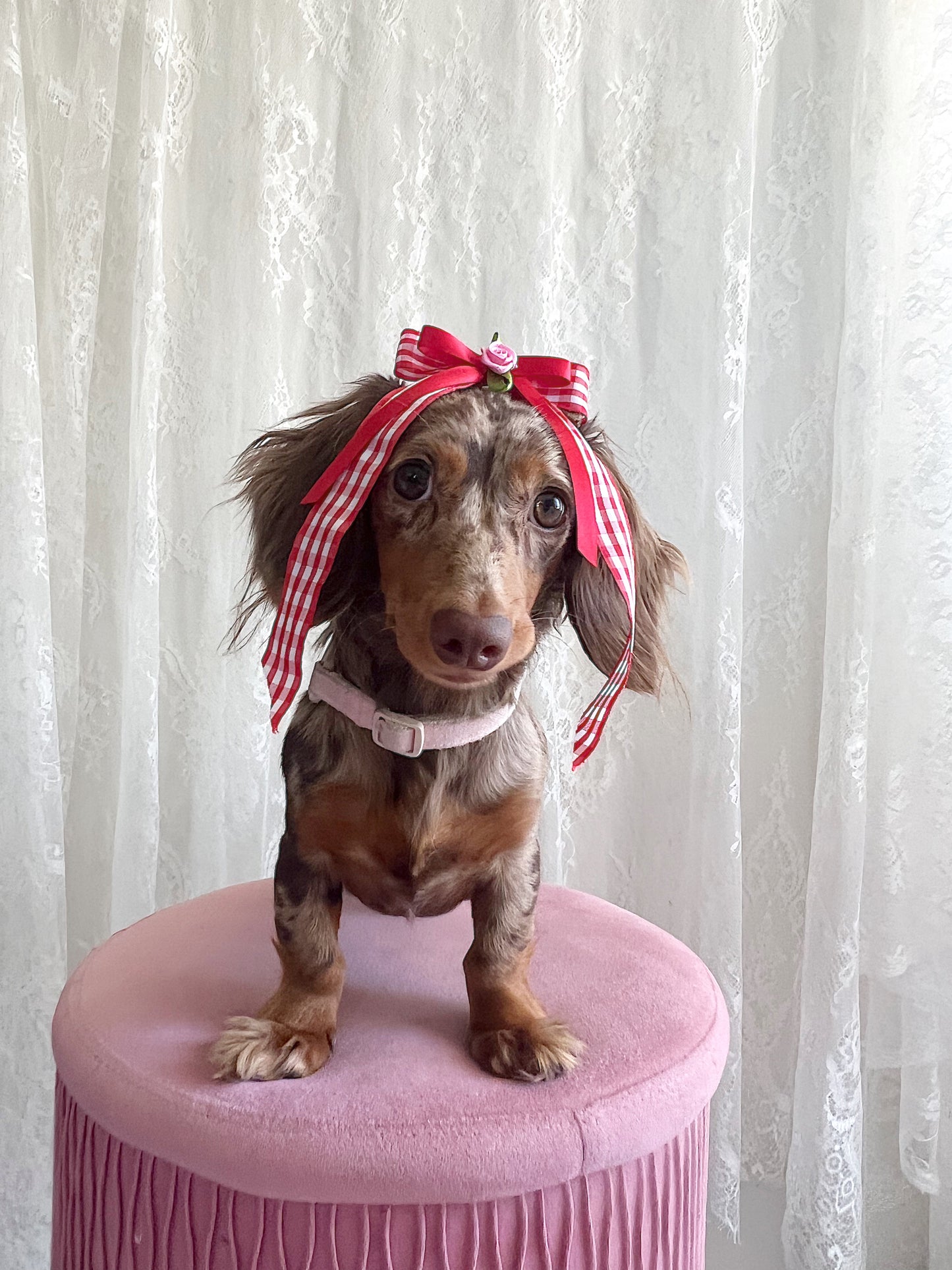 The Gingham Gal Bow