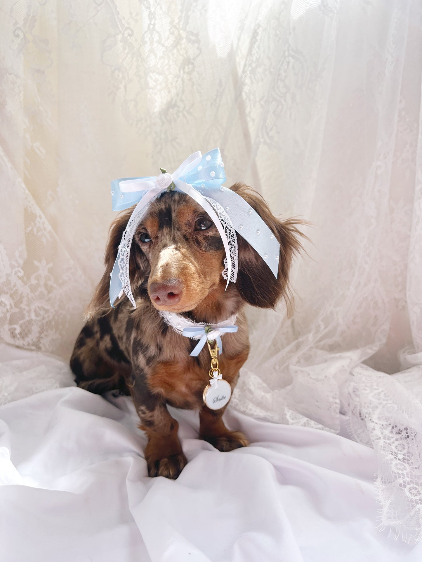 (RuffGems Collab) The Sapphire Silk Twin Bows