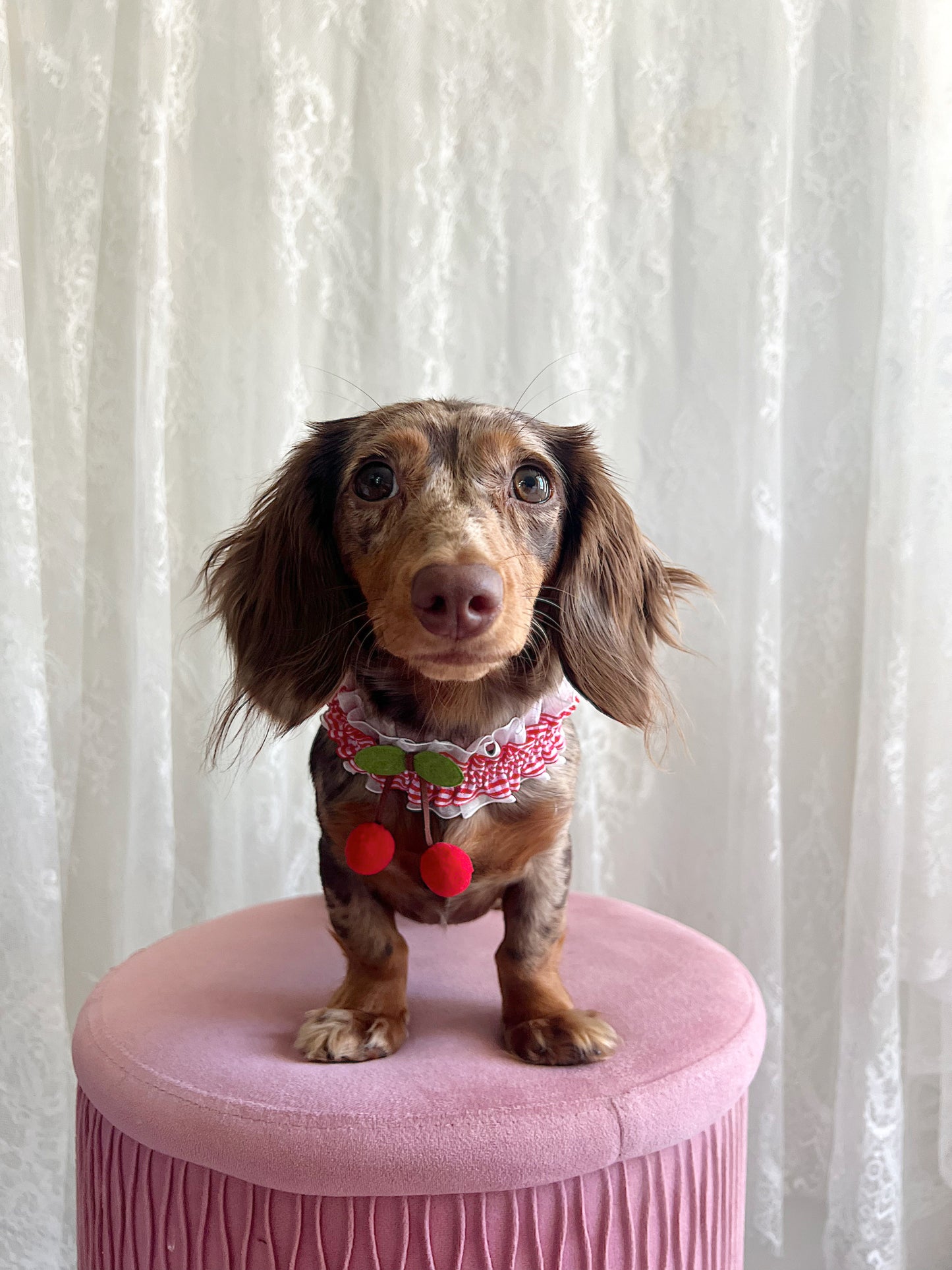 The Miss Americana Choker