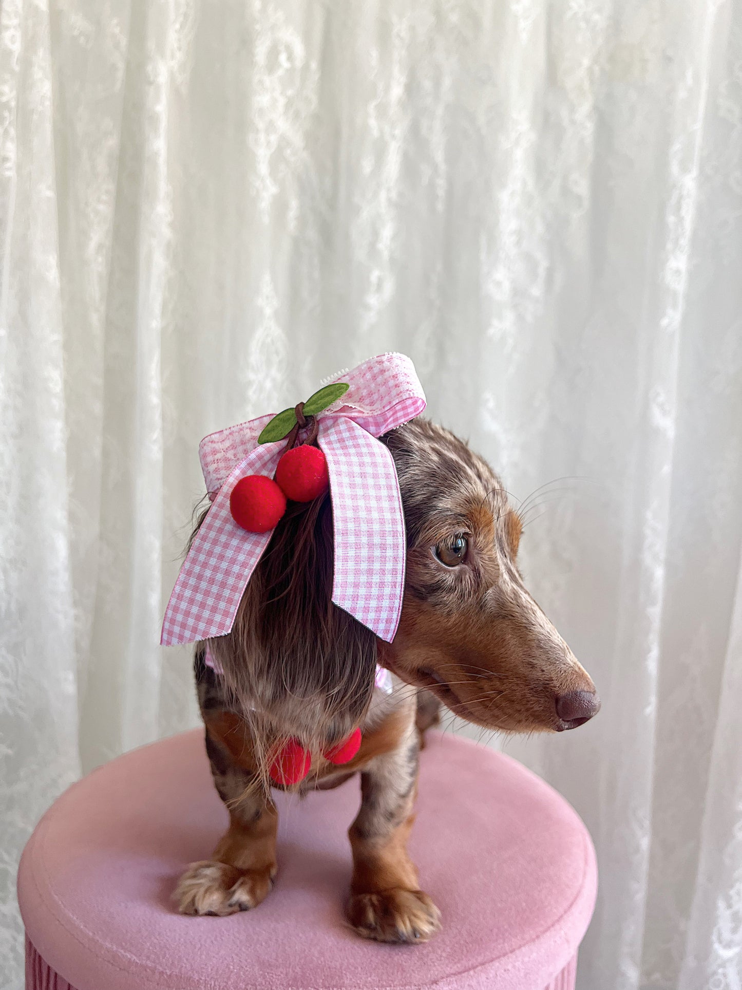 The Pink Picnic Bow