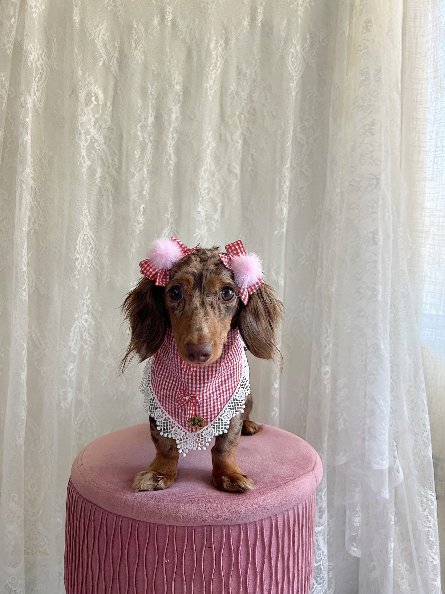 The Berry Bonbon Twin Bows