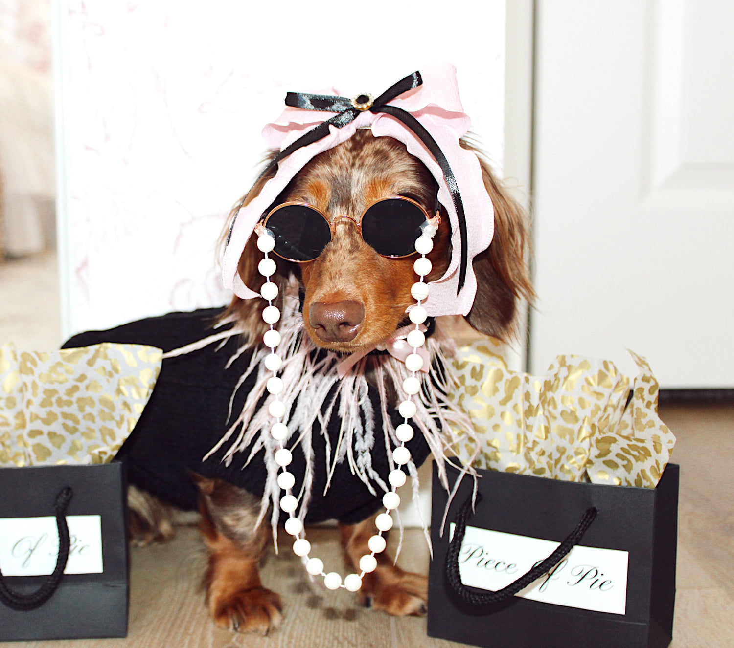 Gossip Pup: Fall edit