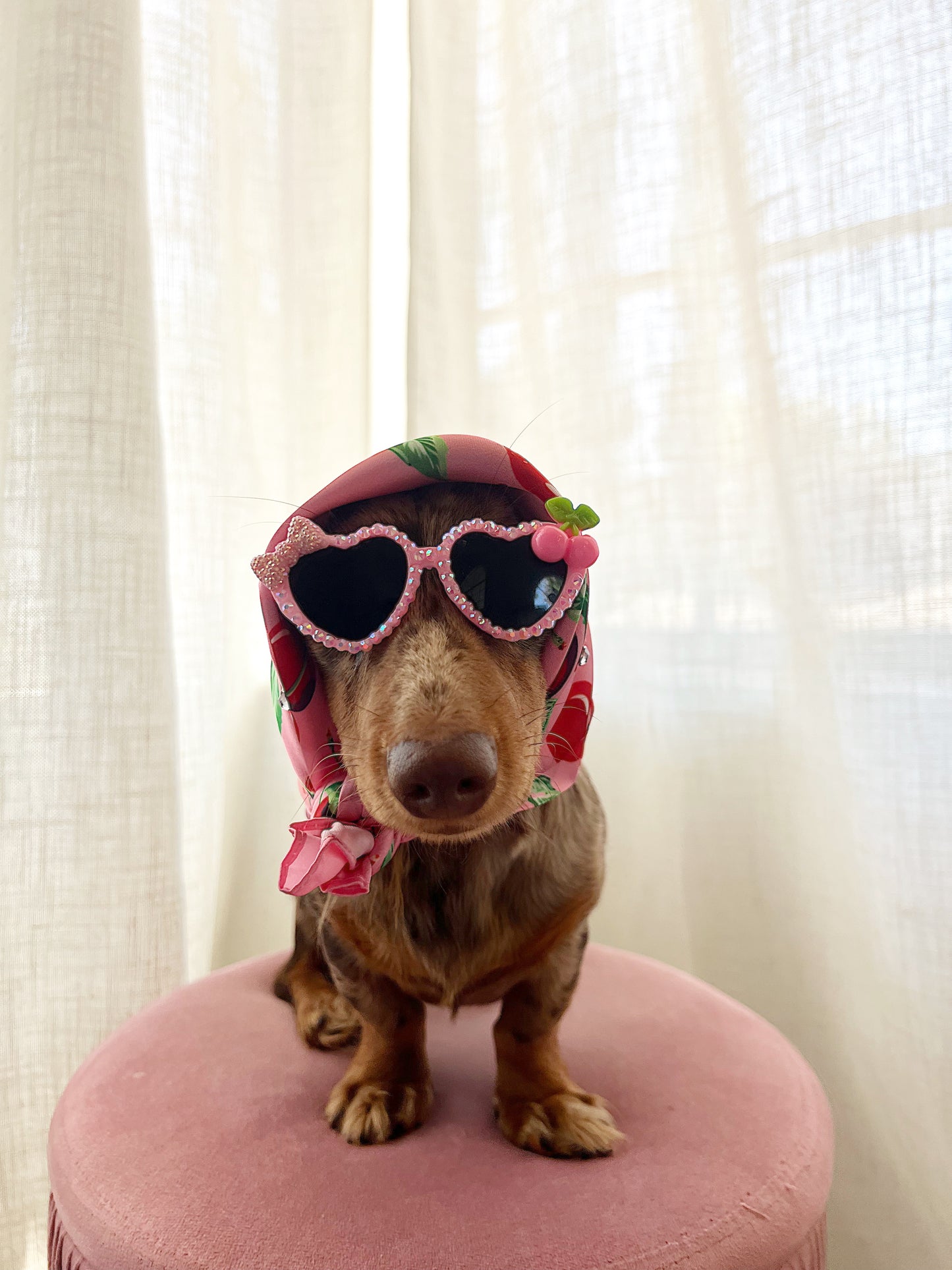 The pink cherry sugar sunglasses