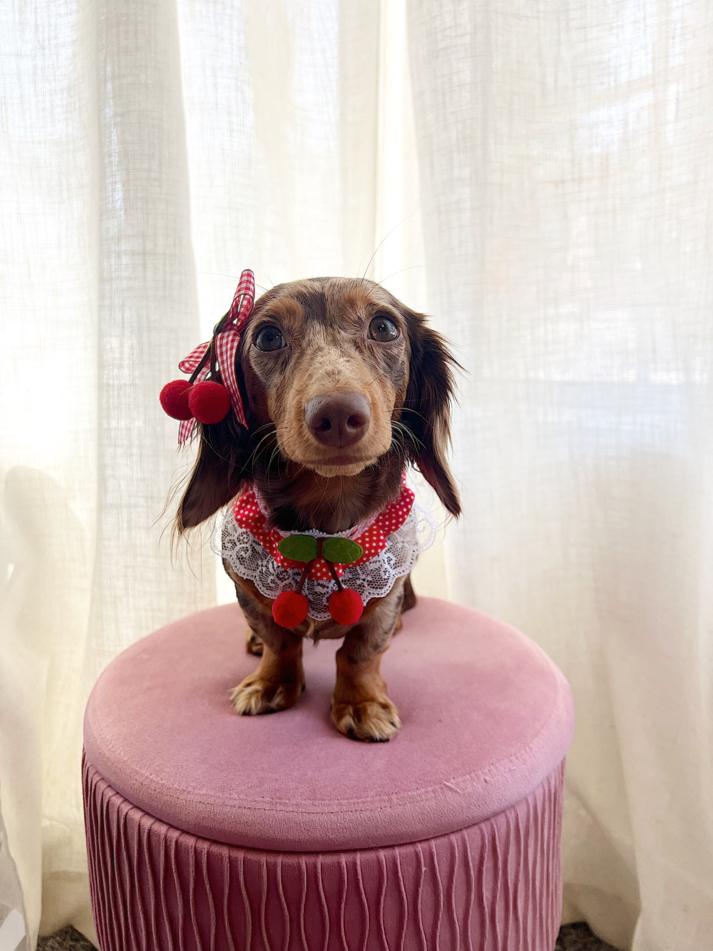 The Dottie hanging cherry choker