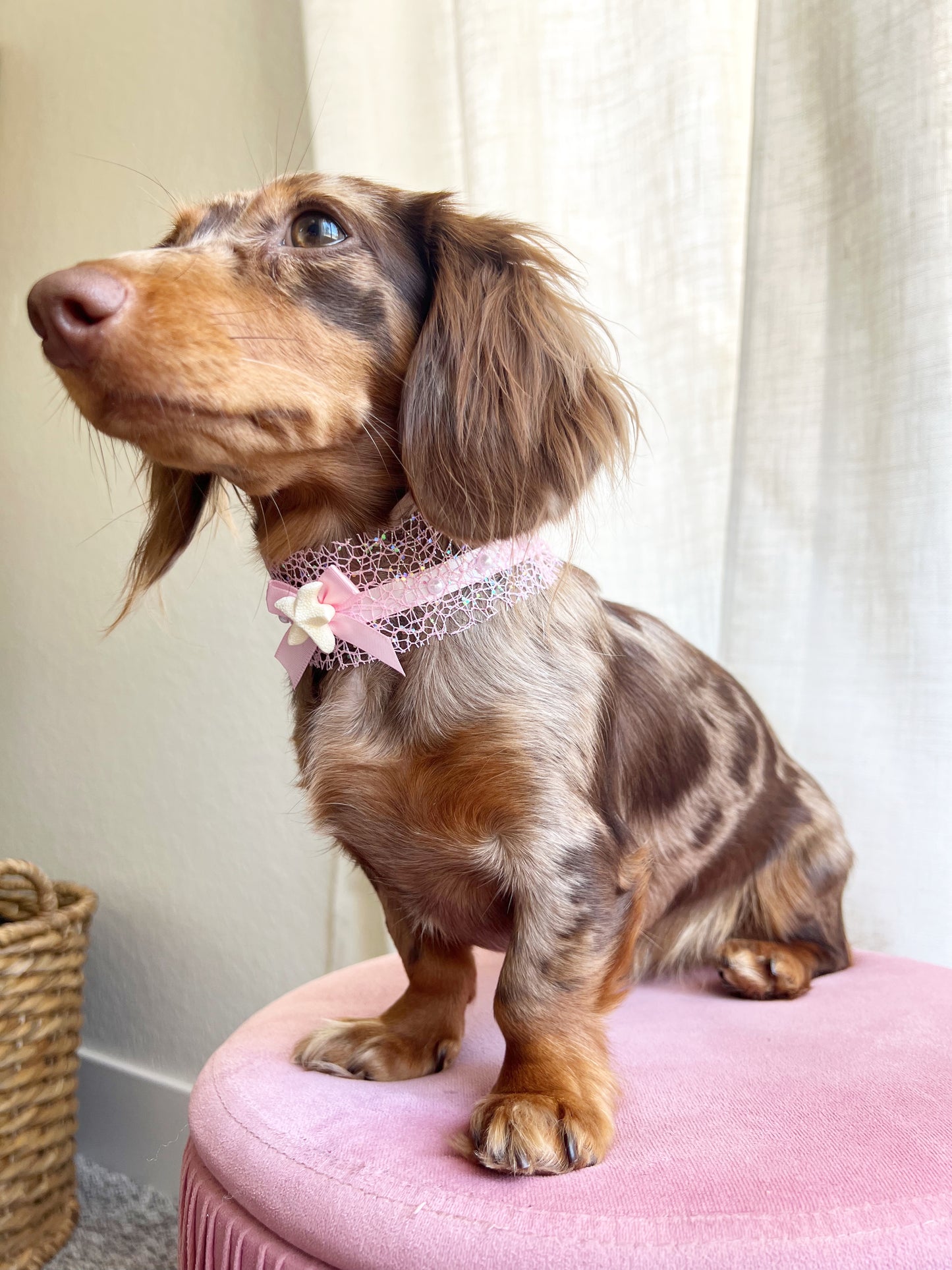 She’s a catch choker