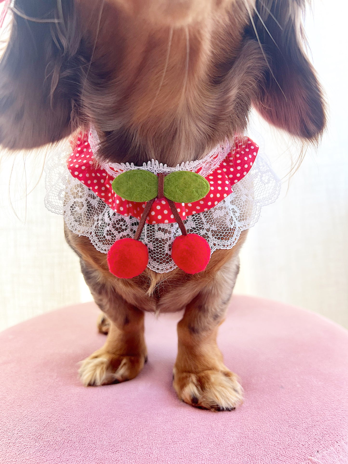 The Dottie hanging cherry choker