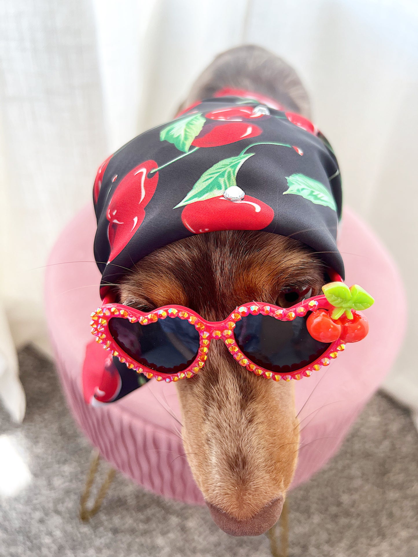 The red cherry sugar sunglasses