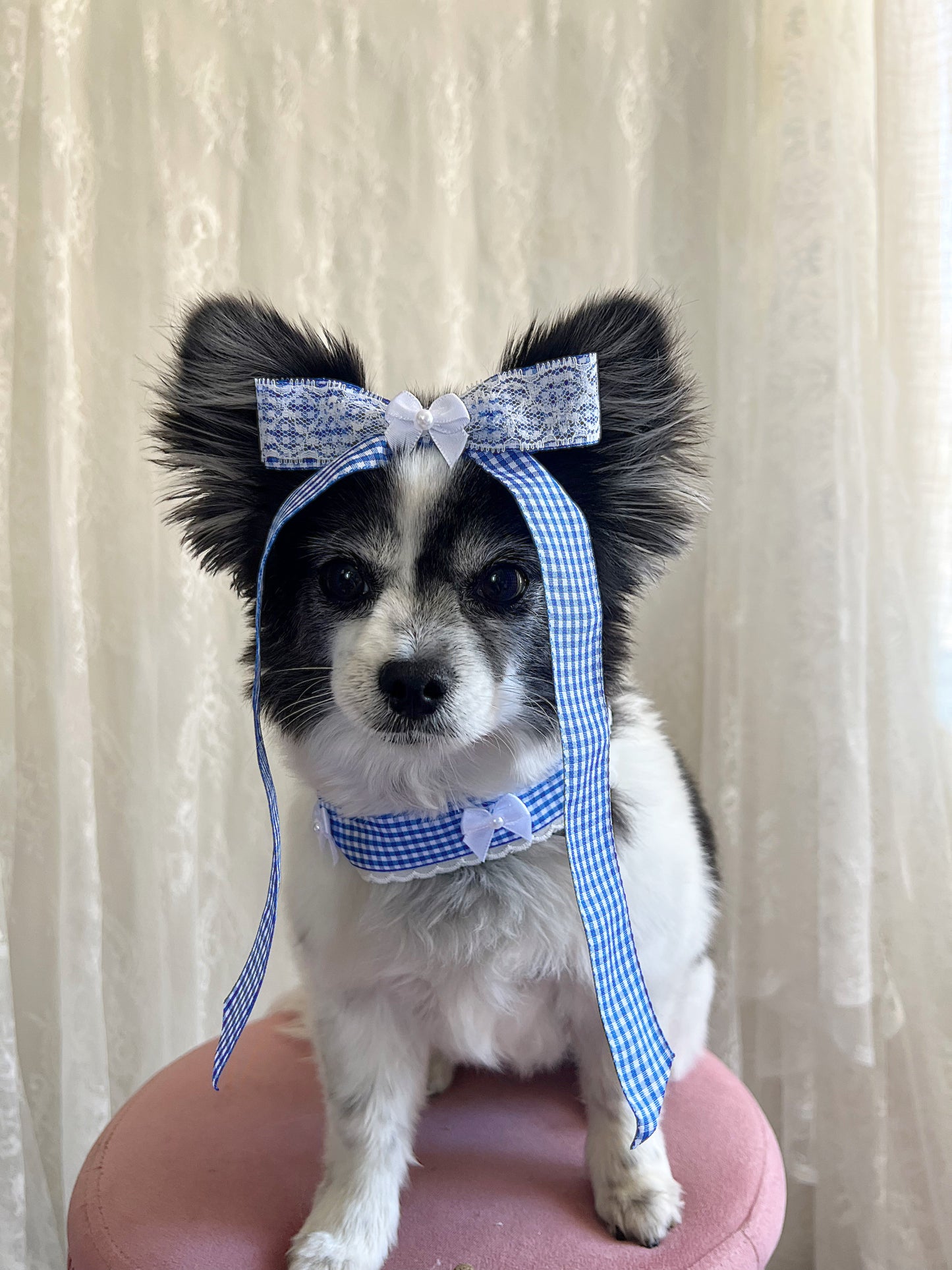 The Blueberry Pie Choker