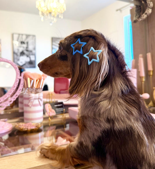 Lagoon Star hair clips