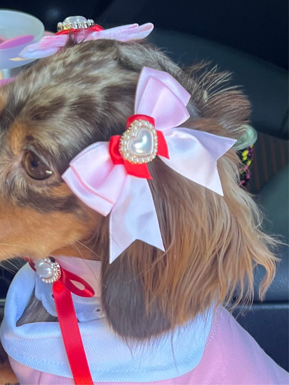 The “Trend Setter” twin bows