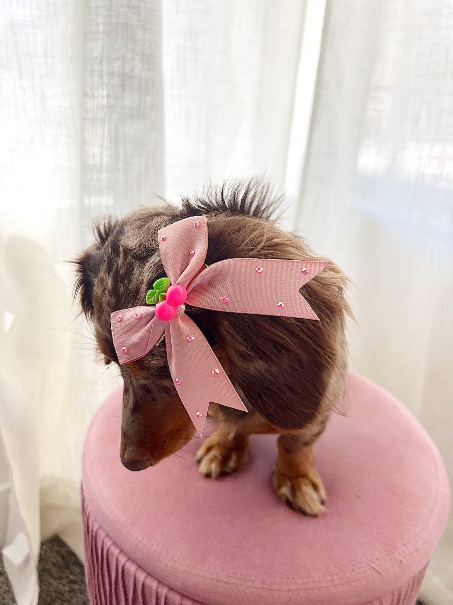 The cherry sugar bow