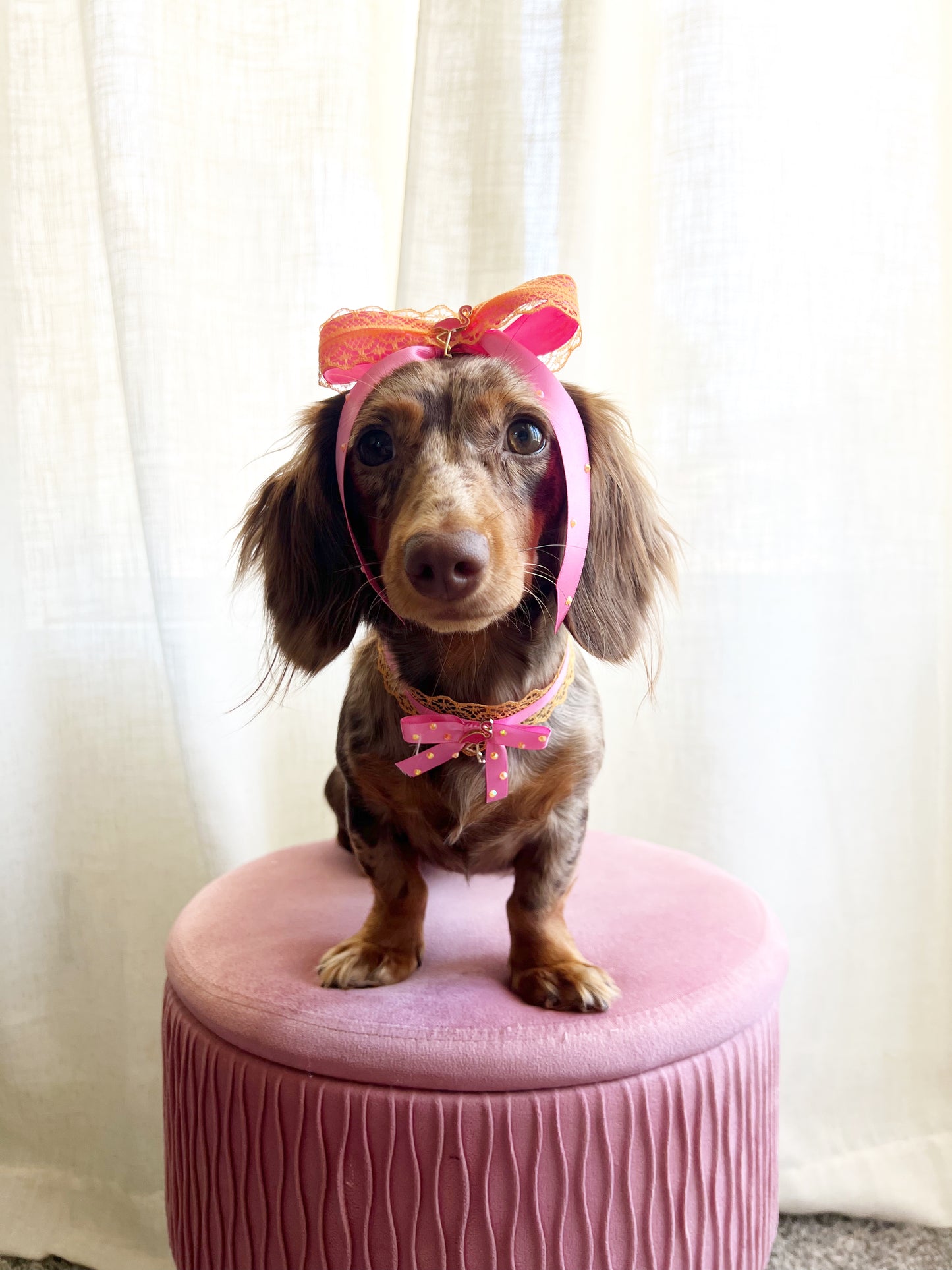 The tropic flamingo bow
